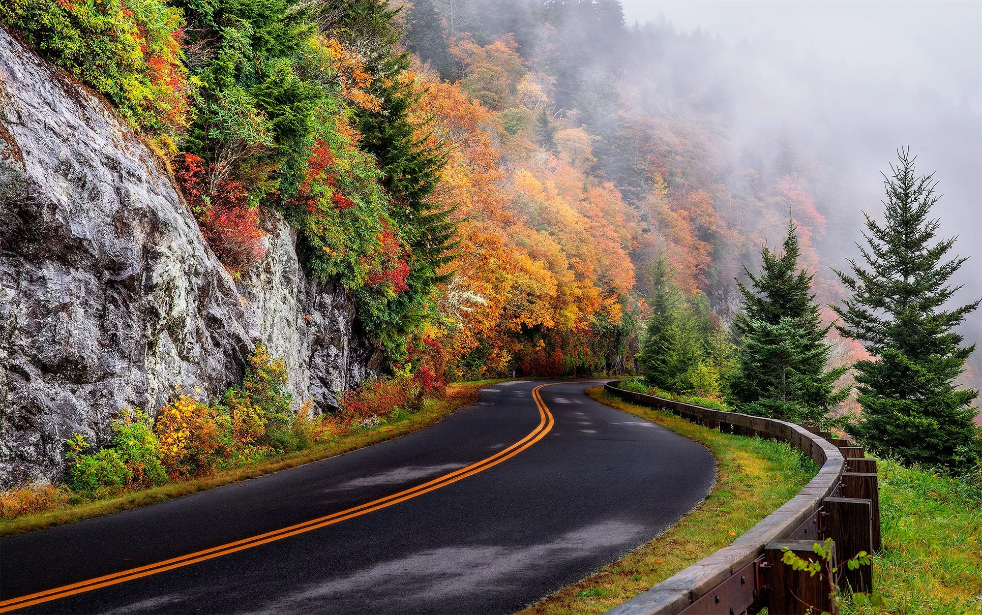 Foggy Autumn Road