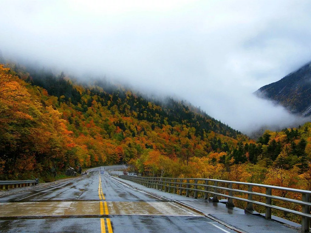 Foggy Rainy Autumn Road. Stanley Zimny