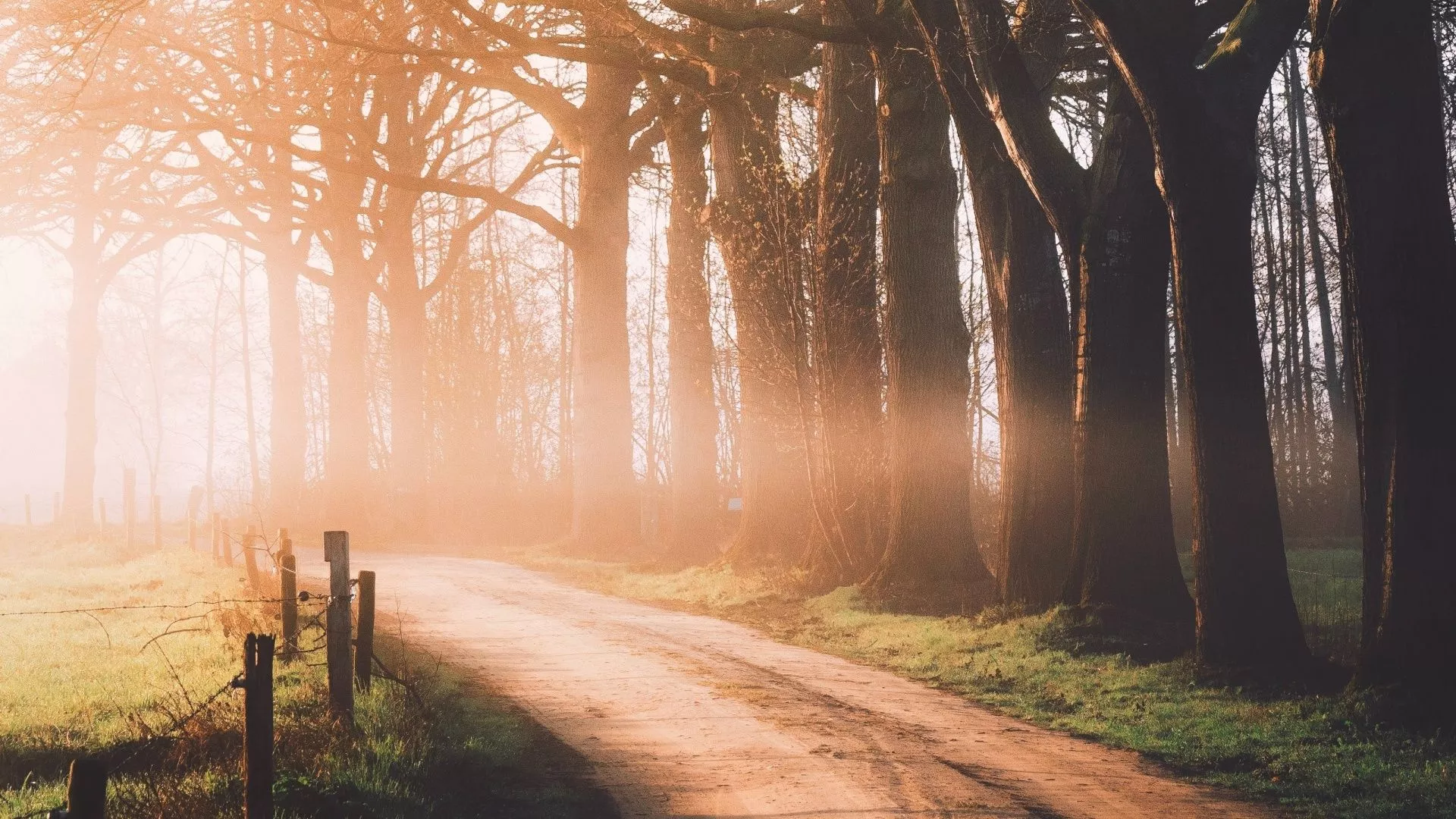 Autumn Wallpaper 4K, Dirt road