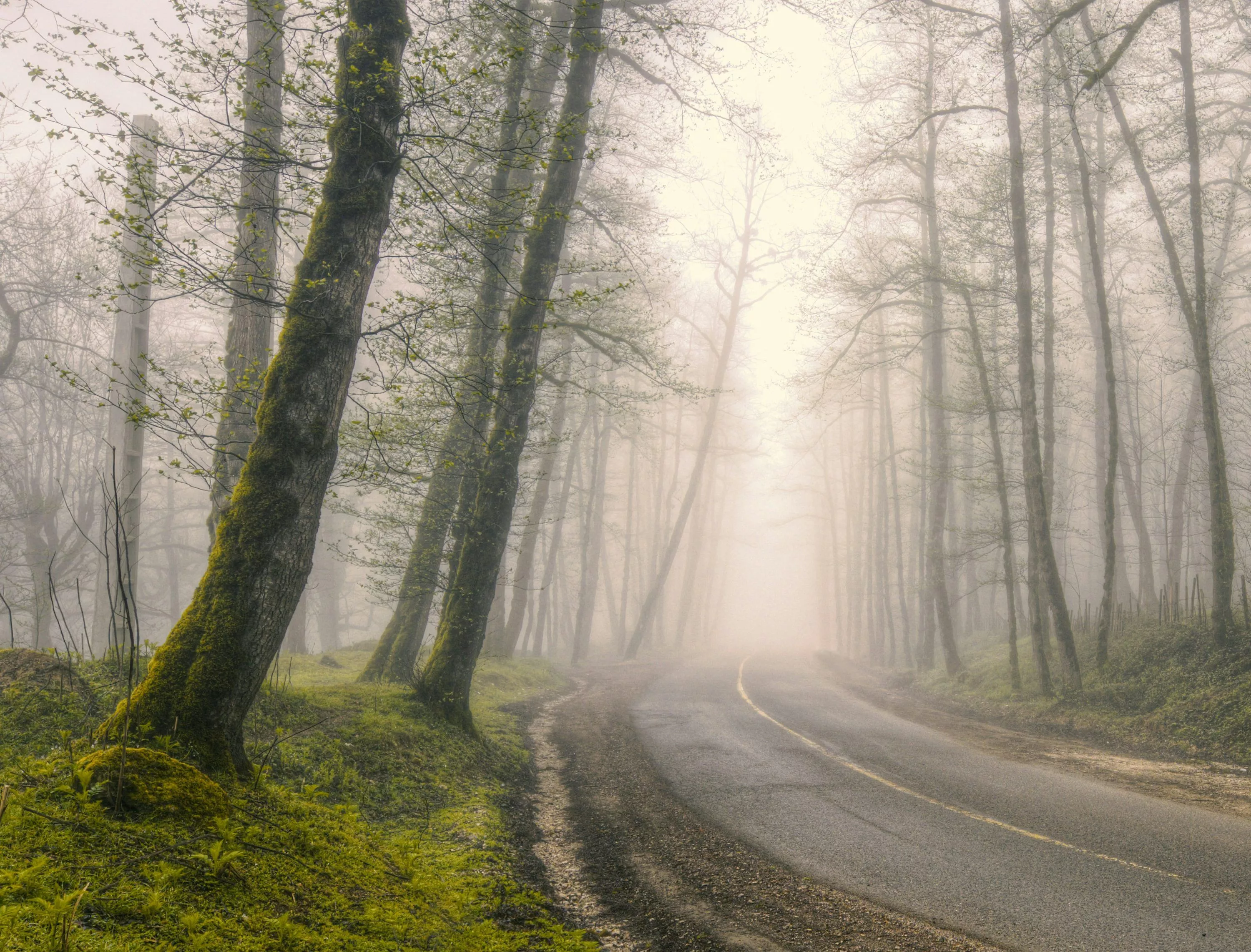 30,Foggy Road Picture. Download