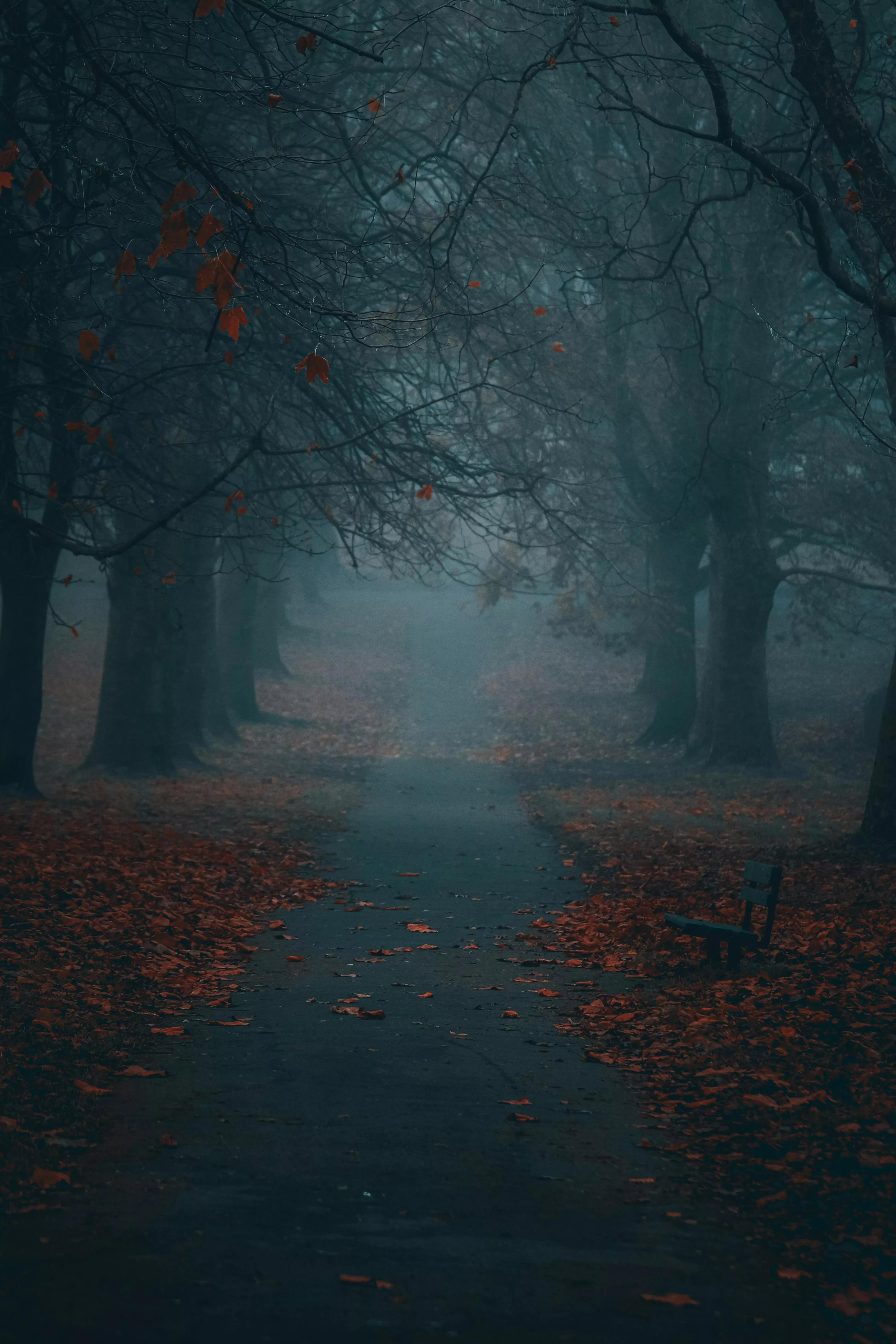 Foggy Park in Autumn · Free