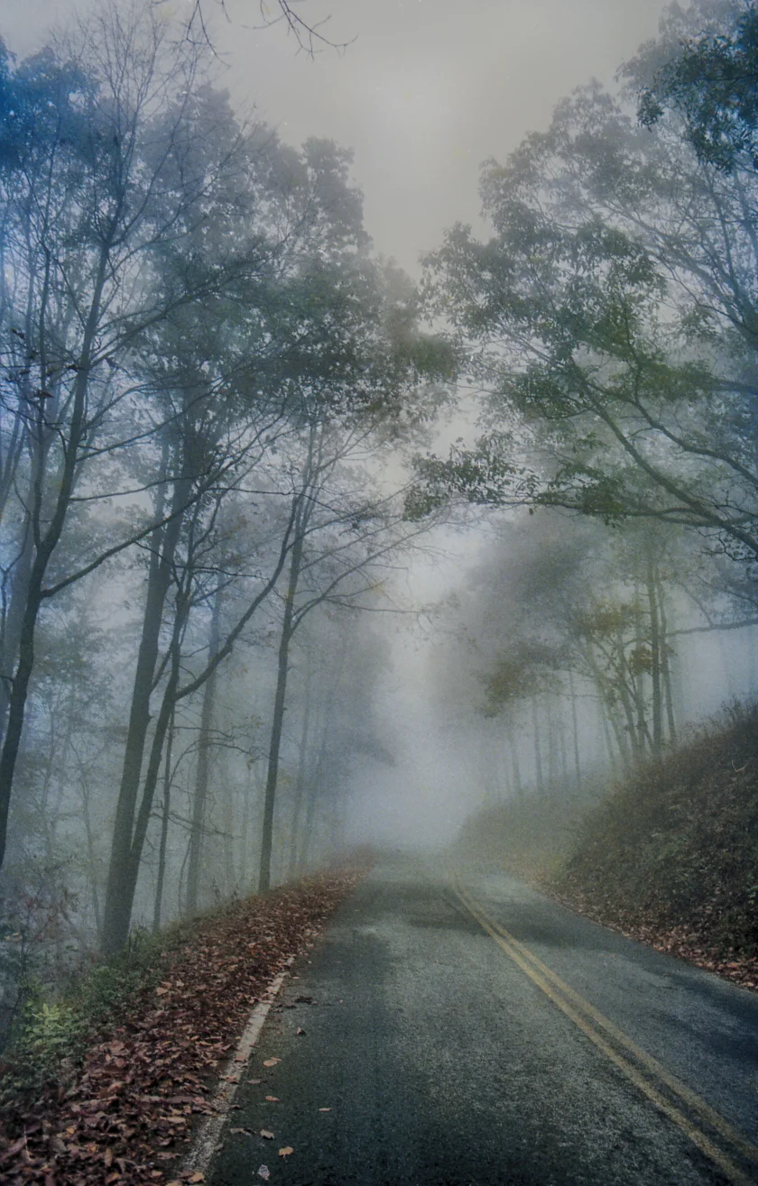 Foggy Road