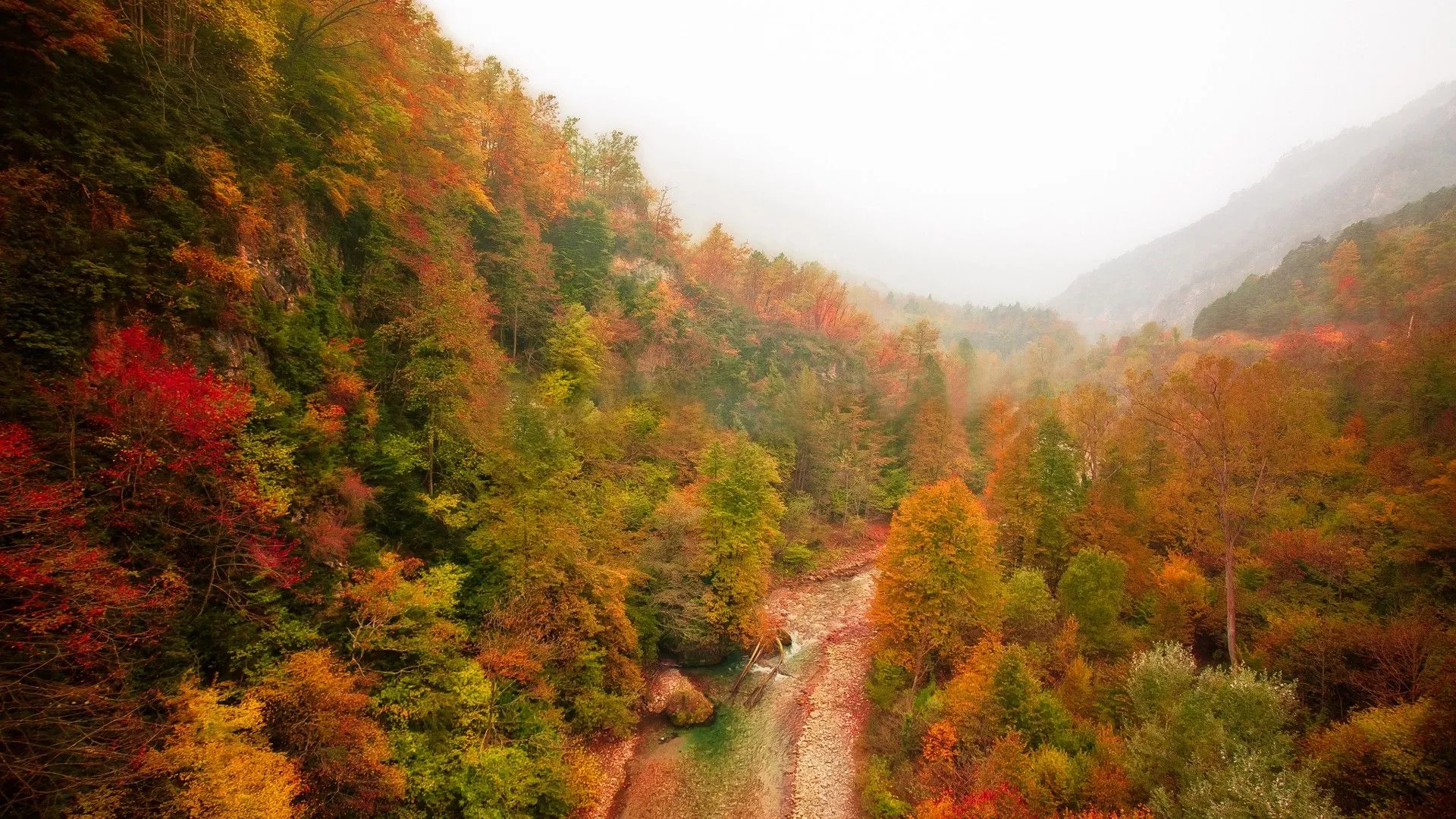 Aerial View Of Colorful Autumn Trees