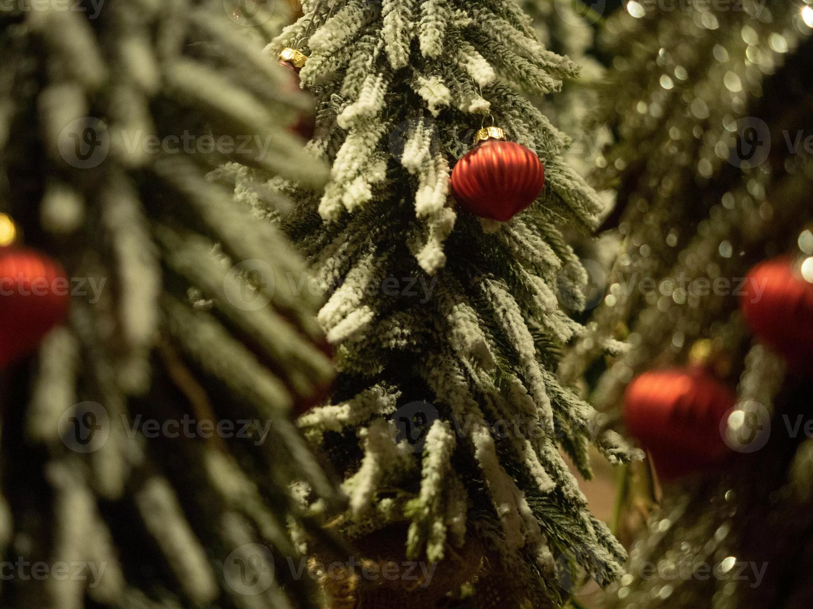 pine tree green beautiful pretty