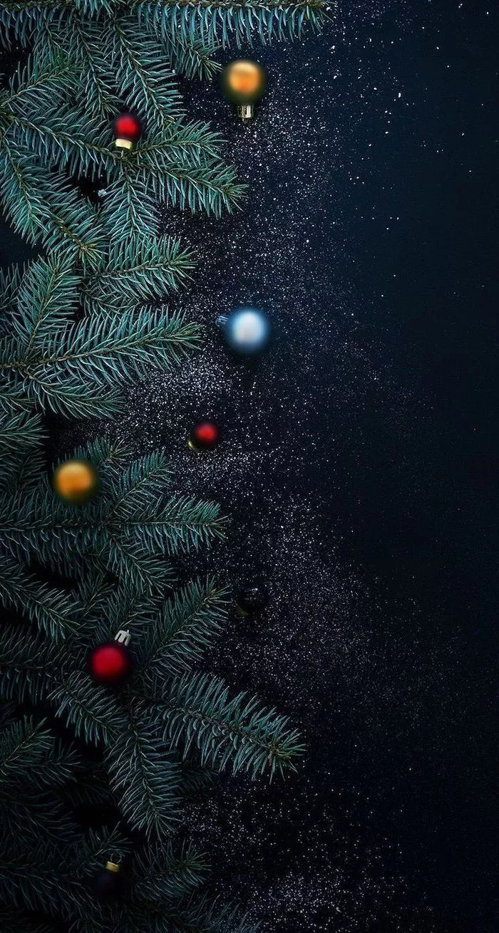 Dark Christmas Forest Wallpaper