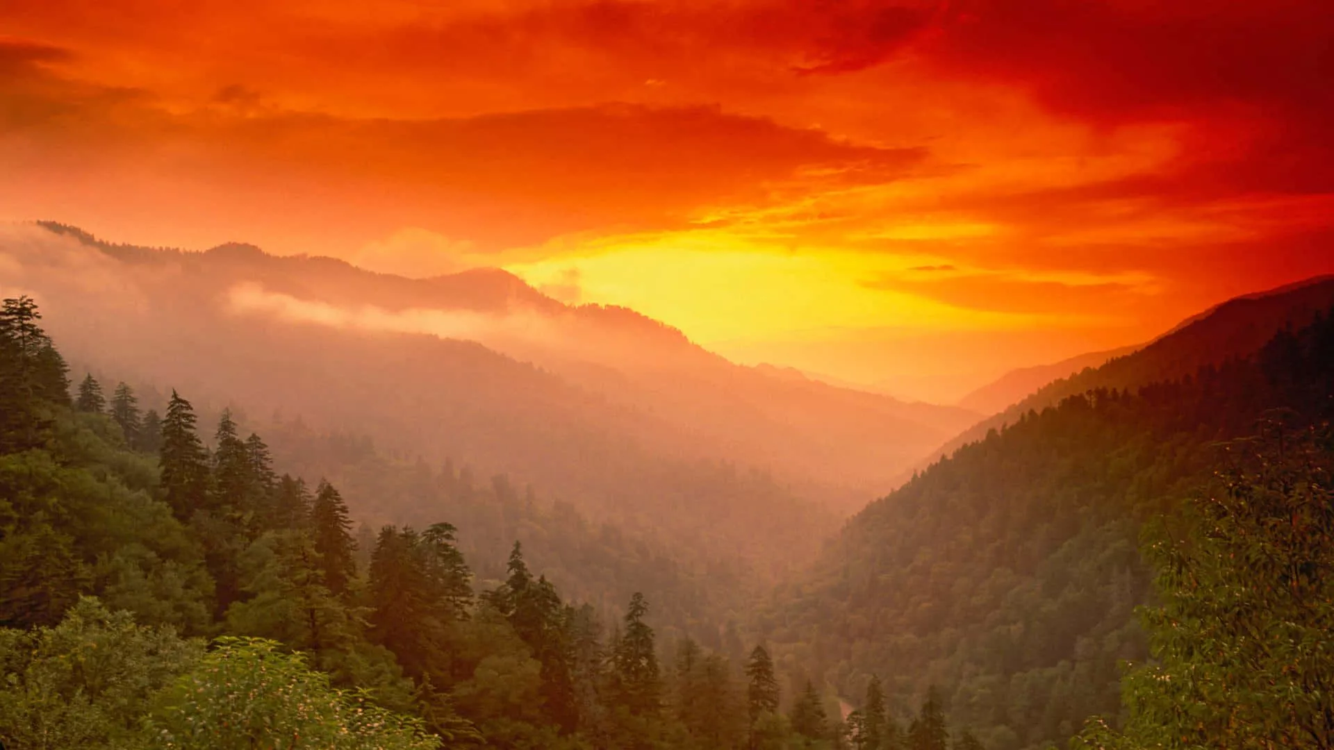 Great Smoky Mountains National Park
