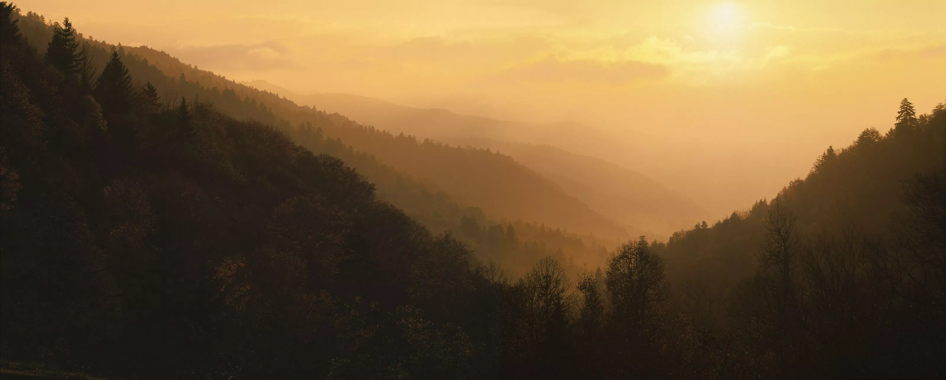 Smoky Mountain Sunrise Mural