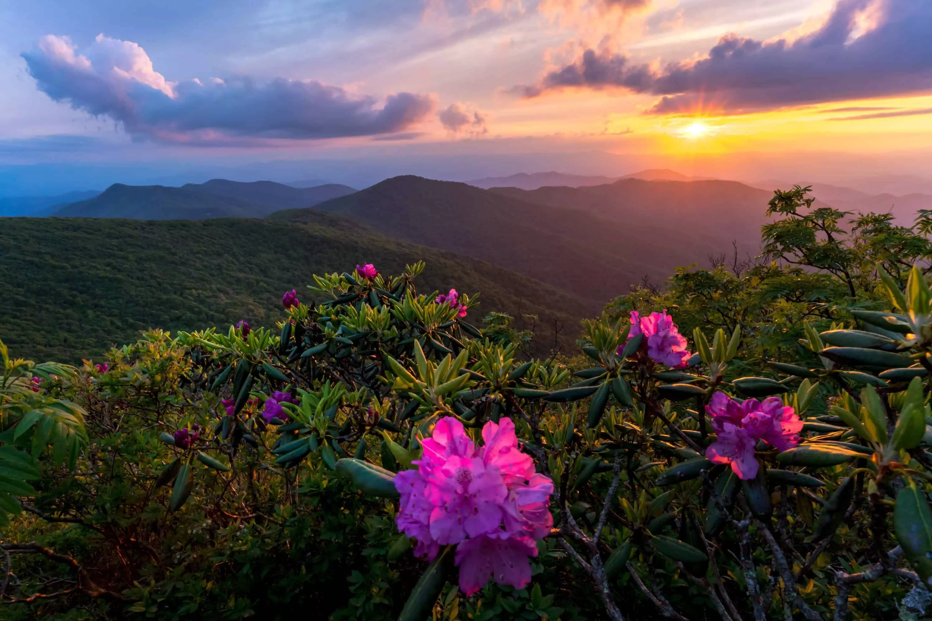 Photograph the Great Smoky Mountains