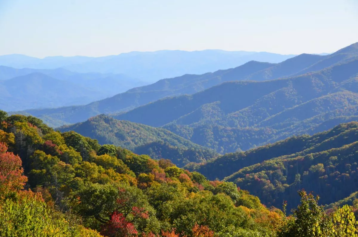 Charles A Webb Overlook