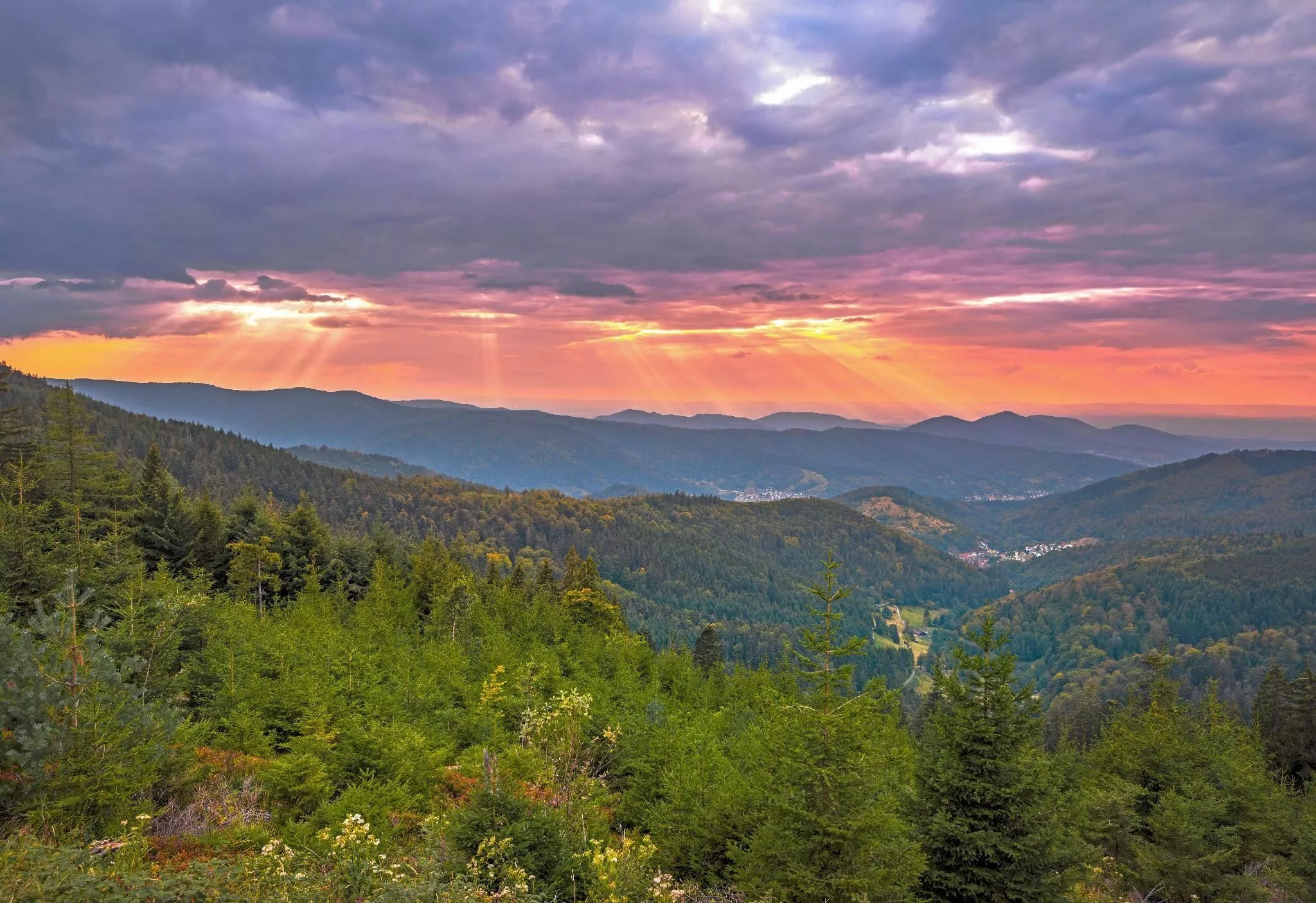 Great Smoky Mountains National Park