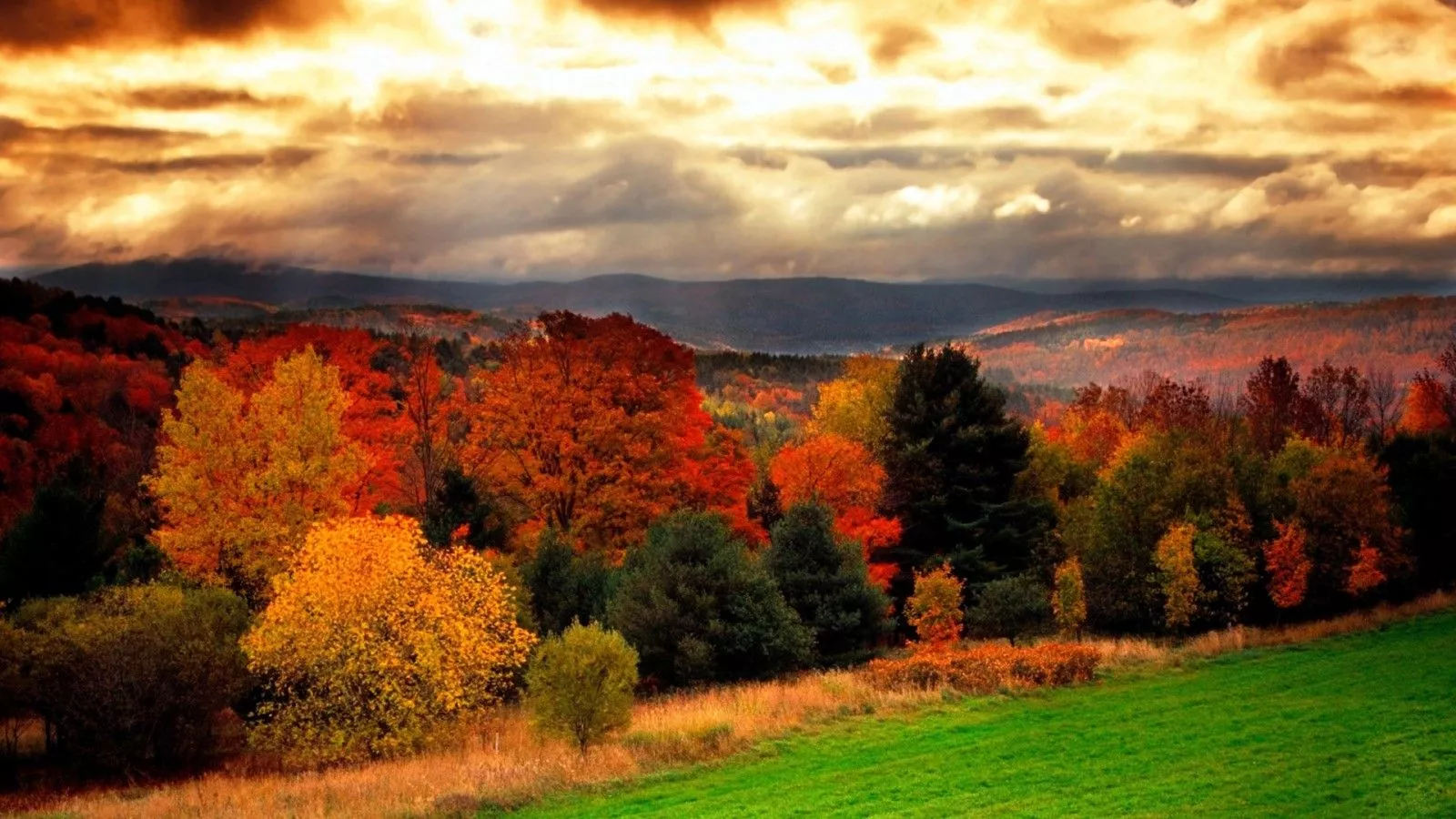 Landscape View Of Colorful Autumn Trees