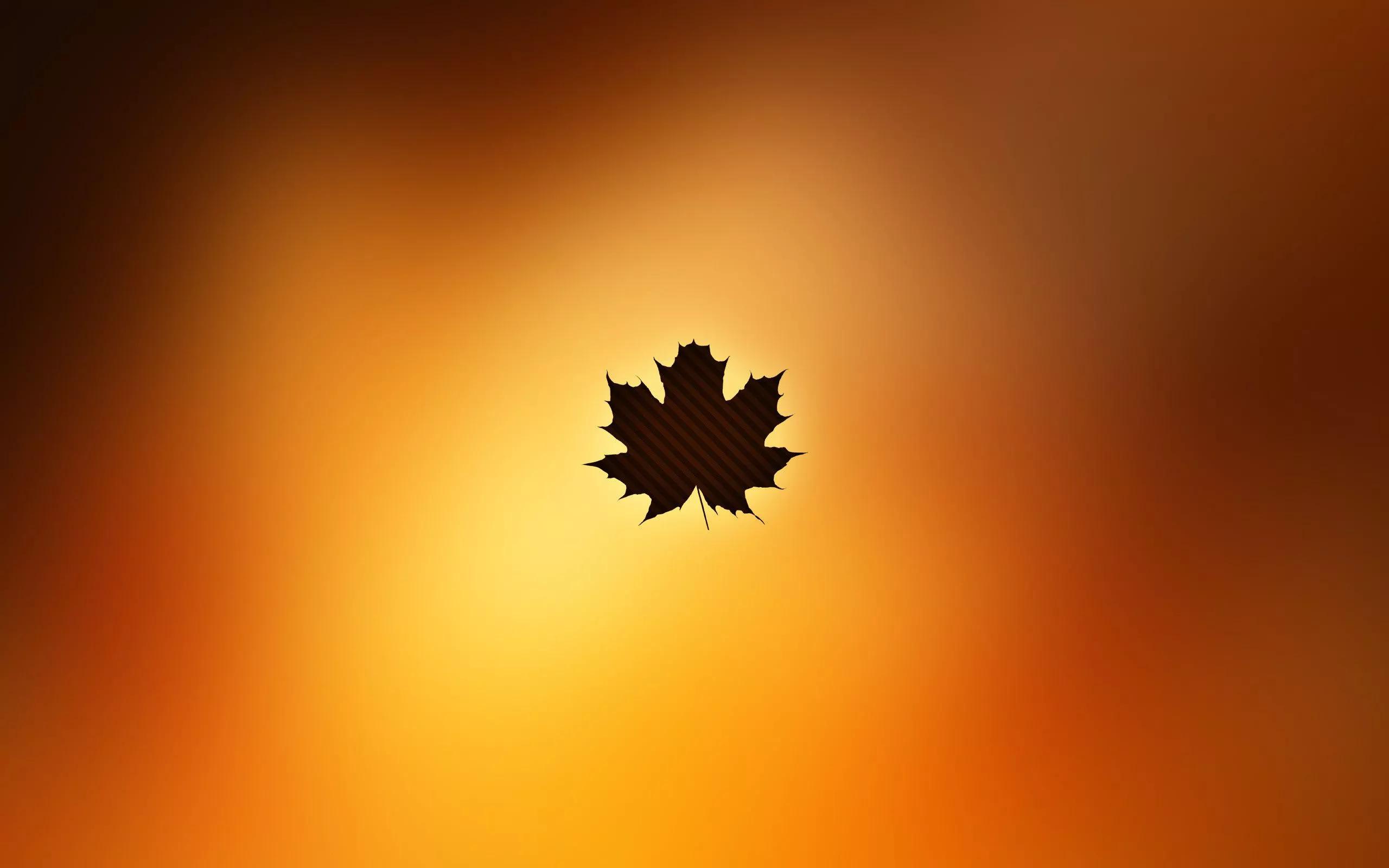 minimalism, autumn, leaf