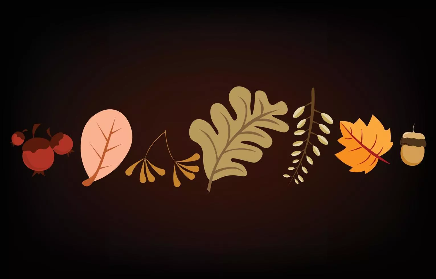 Autumn leaves set, isolated on dark