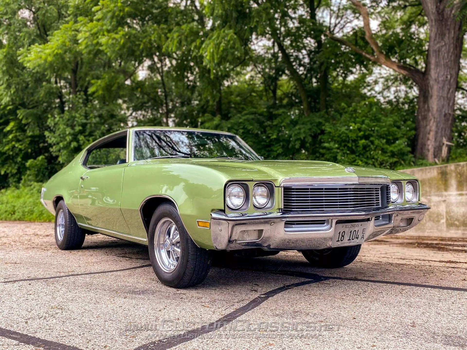 Buick Skylark. Custom Classics