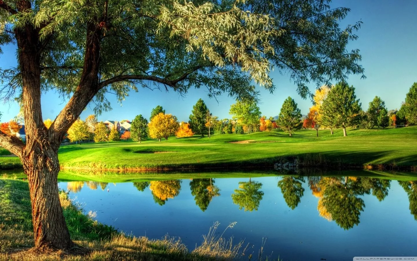 Golf Course Landscape Ultra HD