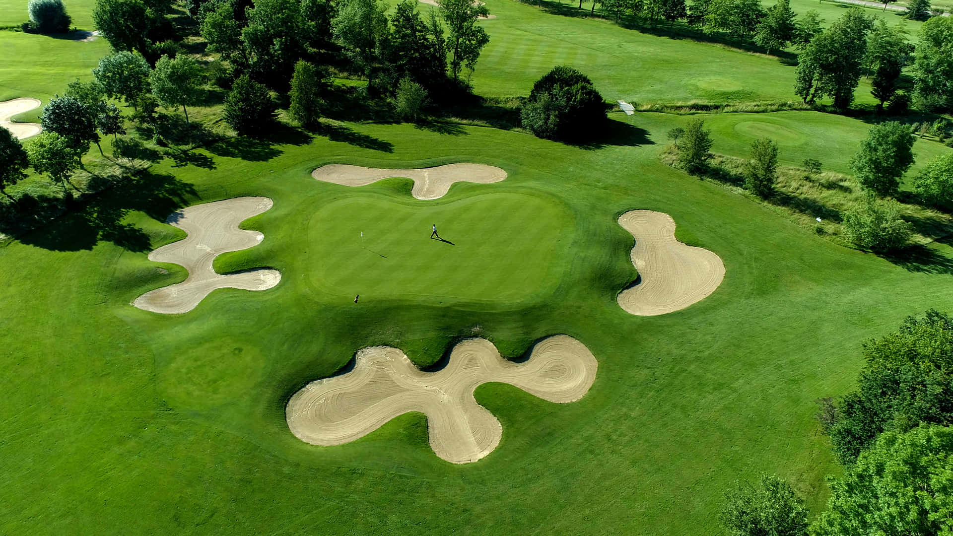 Golf Green Wallpaper