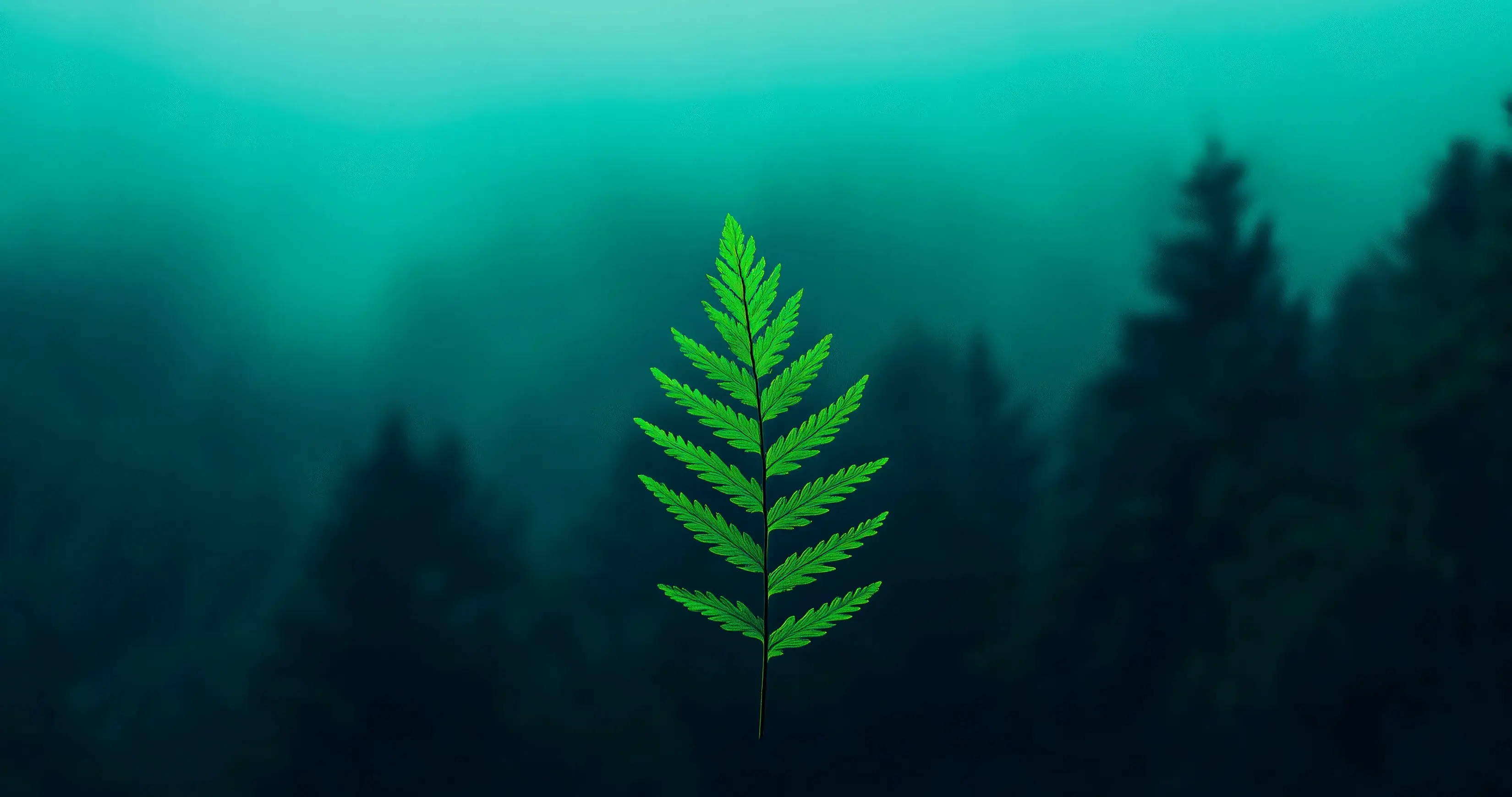 Best 41 Free 4K People Wallpaper Desktop AdTech Windev