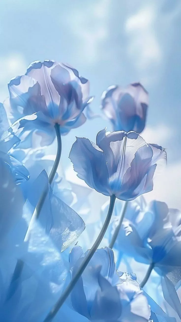 aesthetic cute wallpaper 4k lockscreen