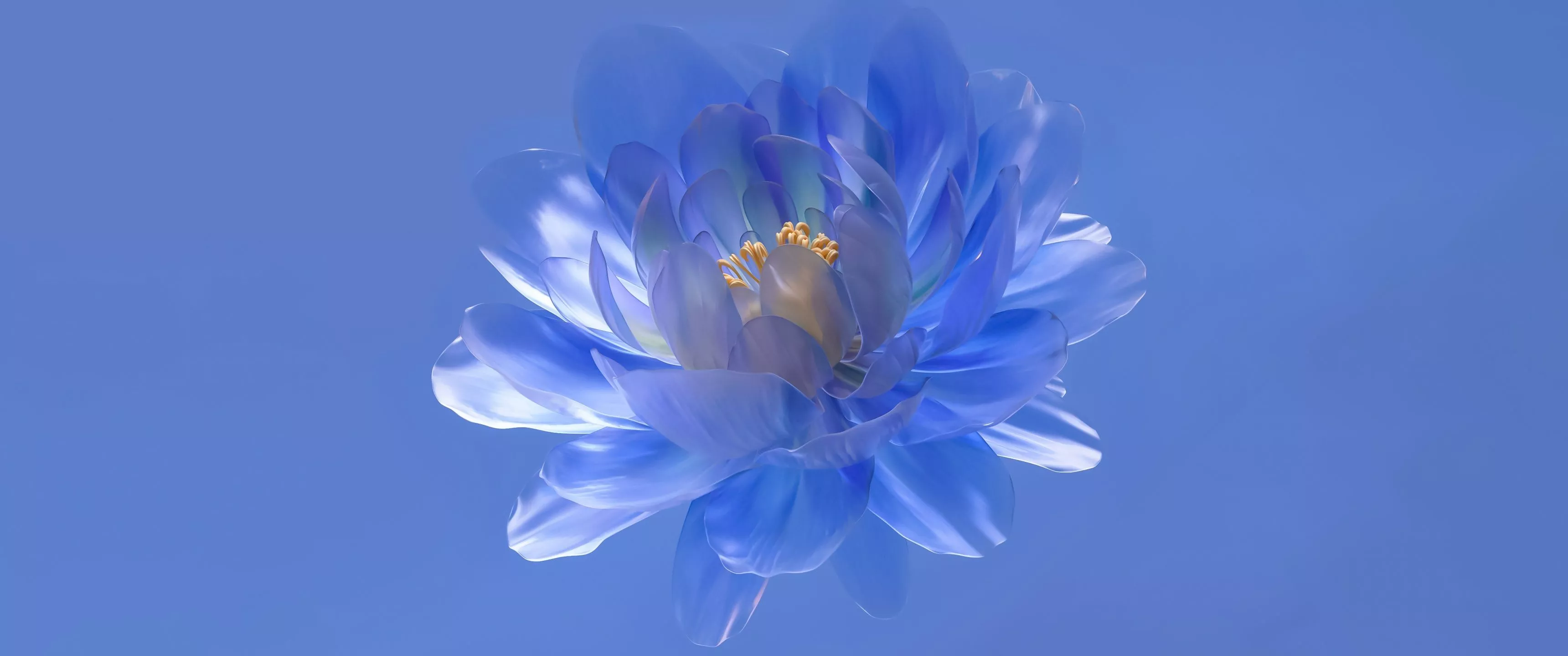 Abstract flower Wallpaper 4K, Blue aesthetic, Blue background