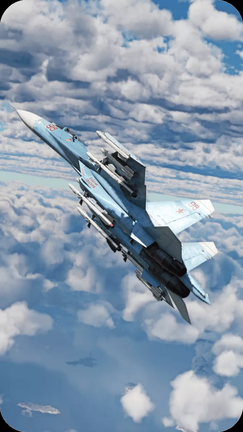 WT Live // Camouflage