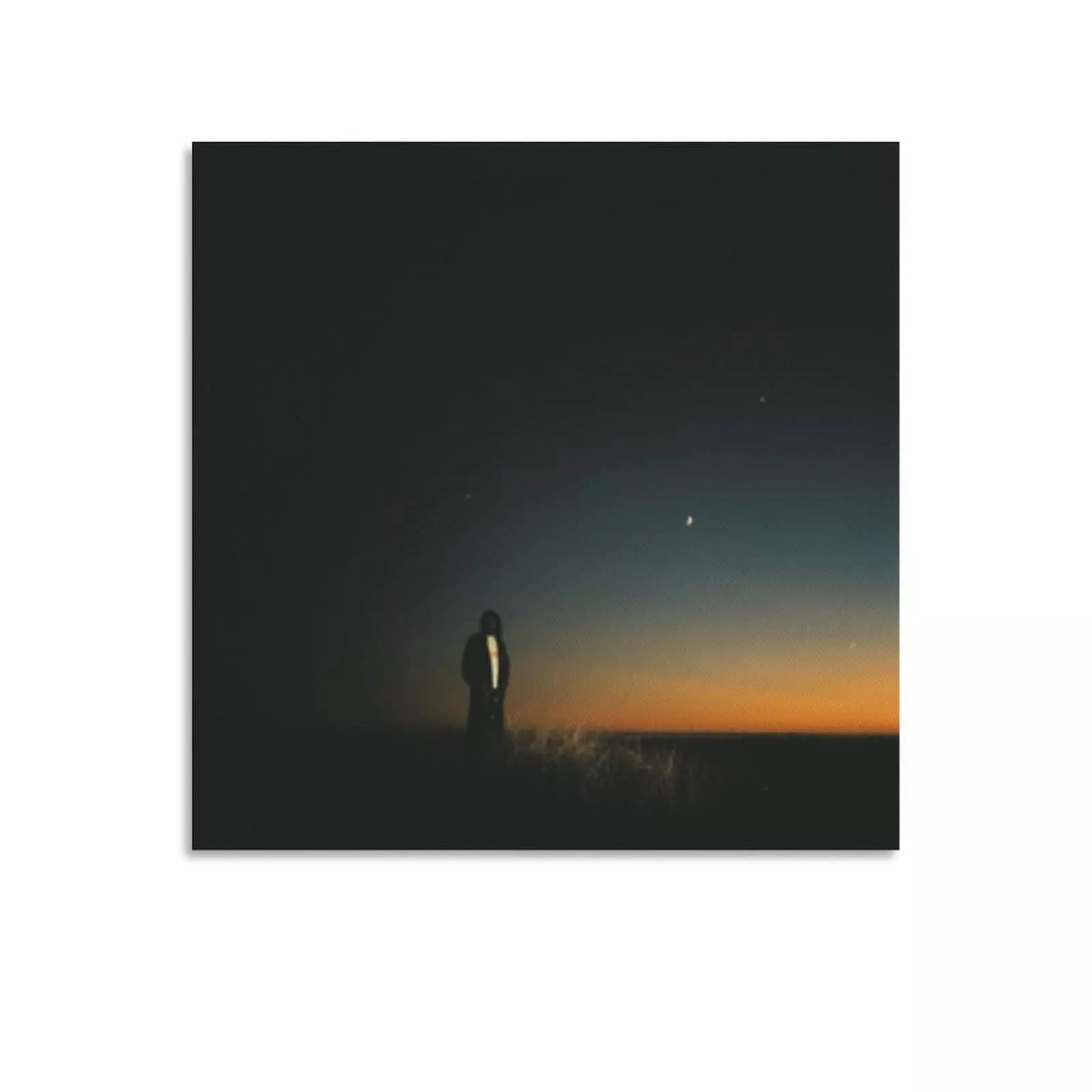 Canvas Printed Poster Unframe