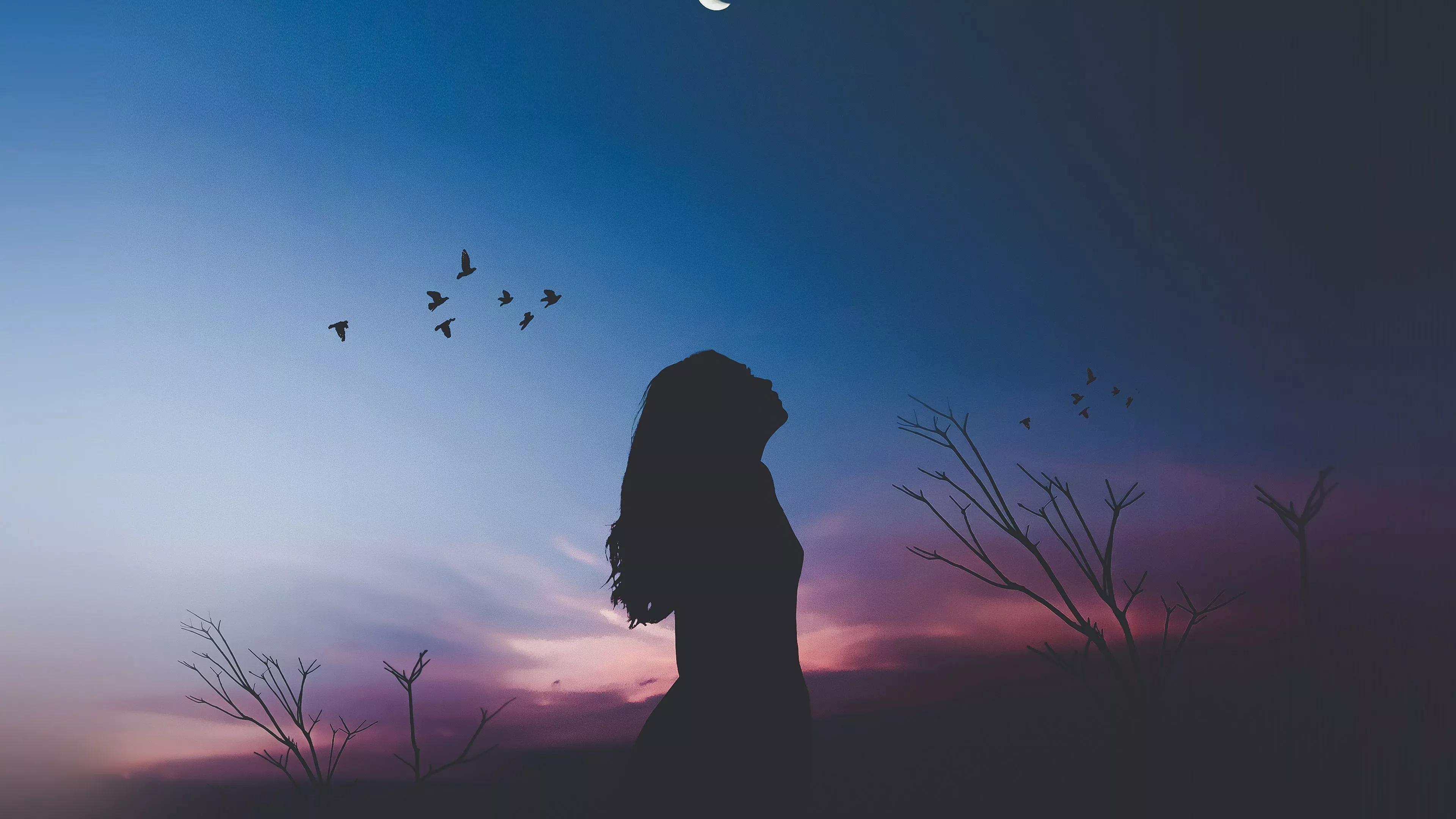 Night Sky Dark Woman Fly Bird Nature