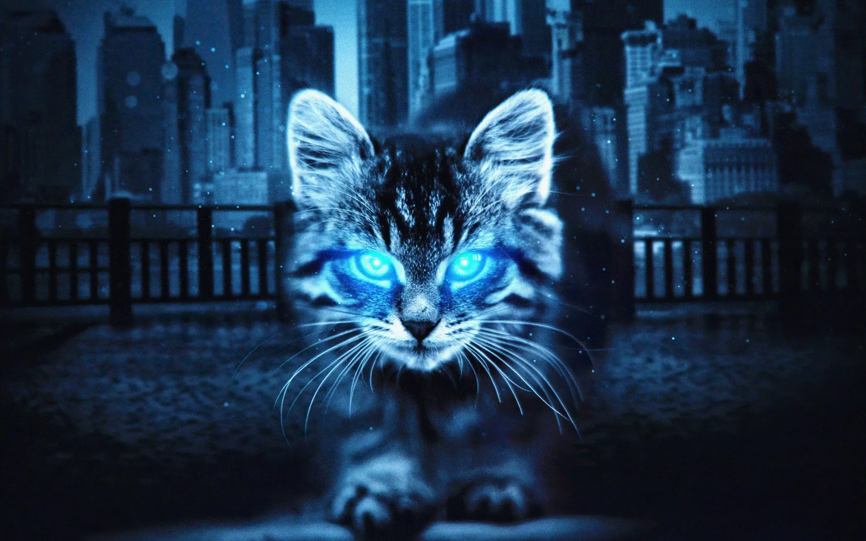 Cat Glowing Eyes 4k Macbook