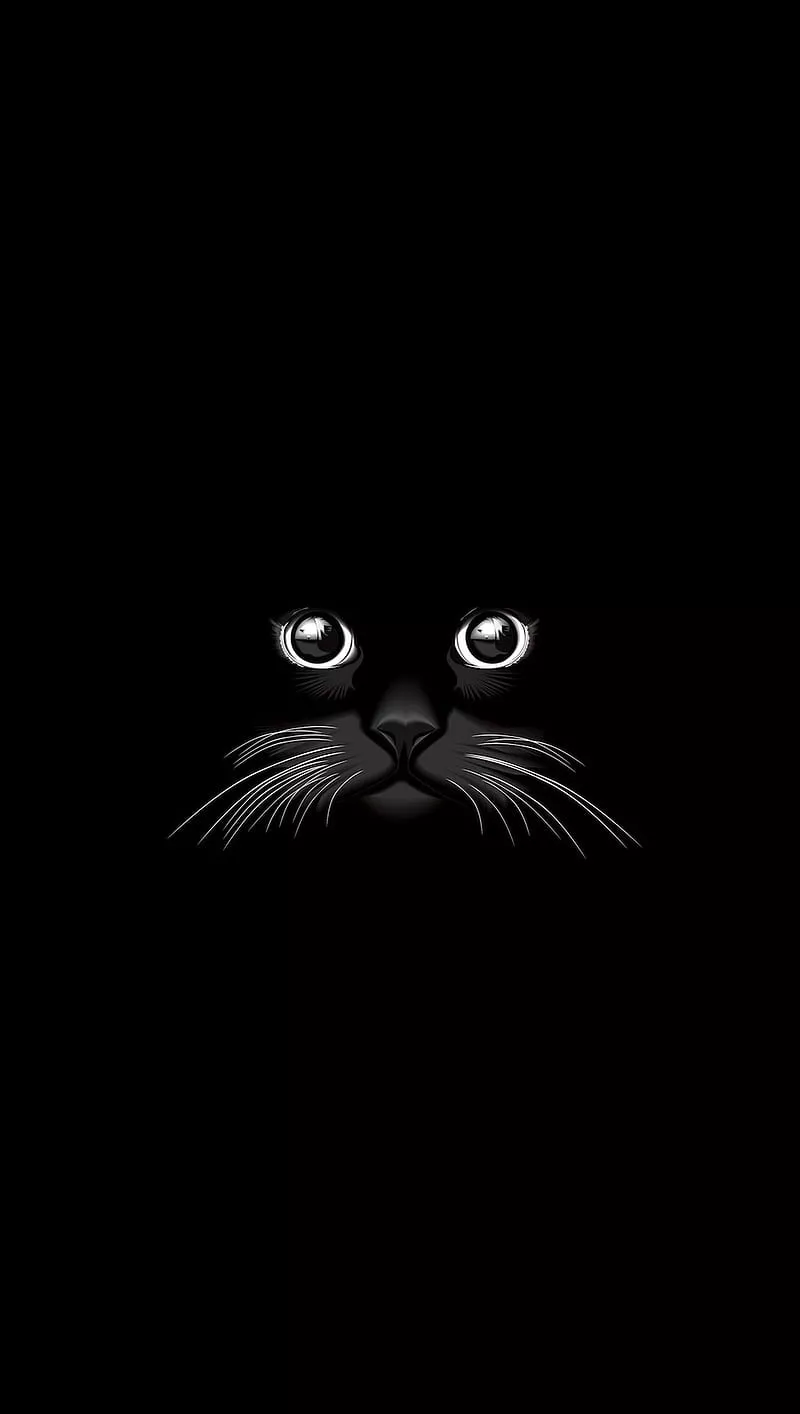 Black Cat, black, cat, HD phone