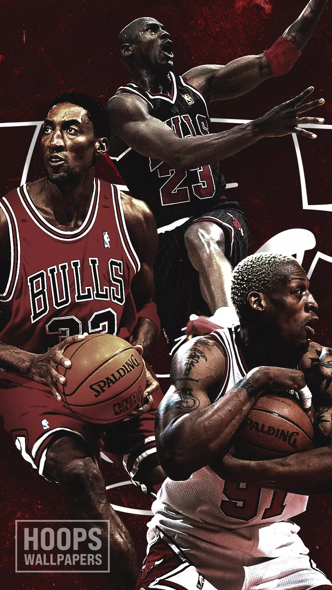 Chicago Bulls