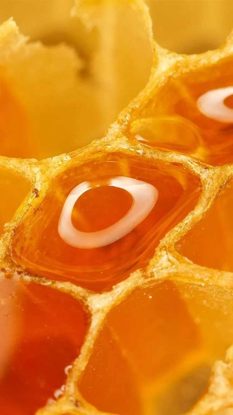 Honey, sweet, honeycomb 750x1334 iPhone