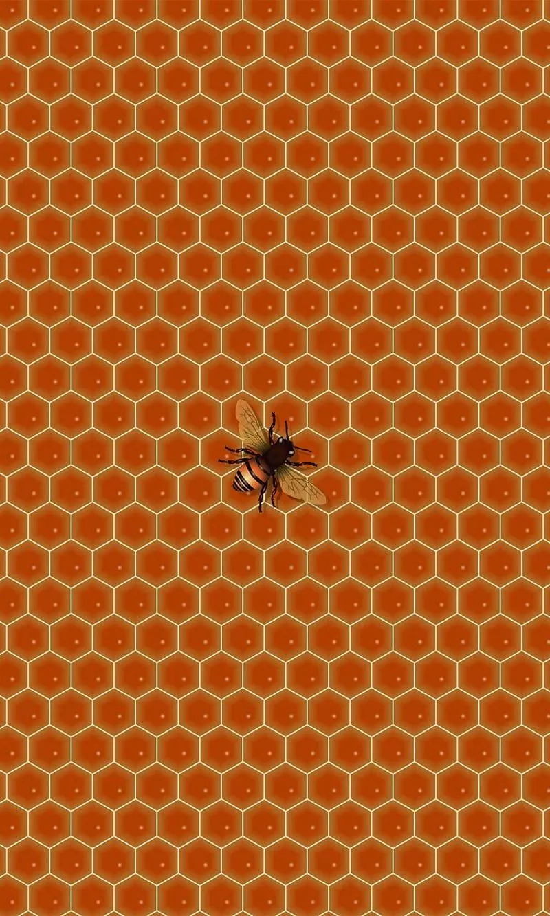Bee, honeycomb, HD phone wallpaper