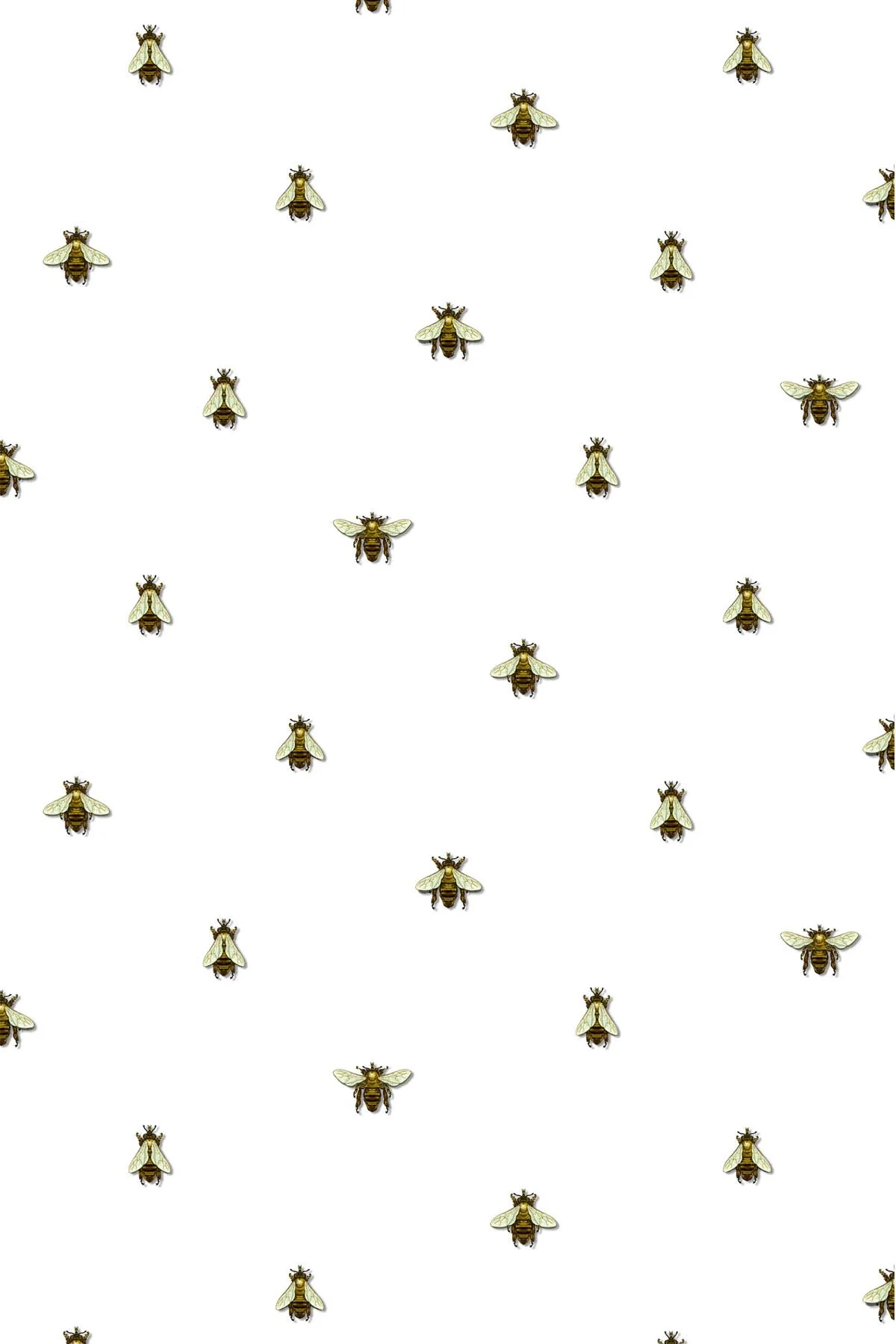 wild honey bee spot wallpaper
