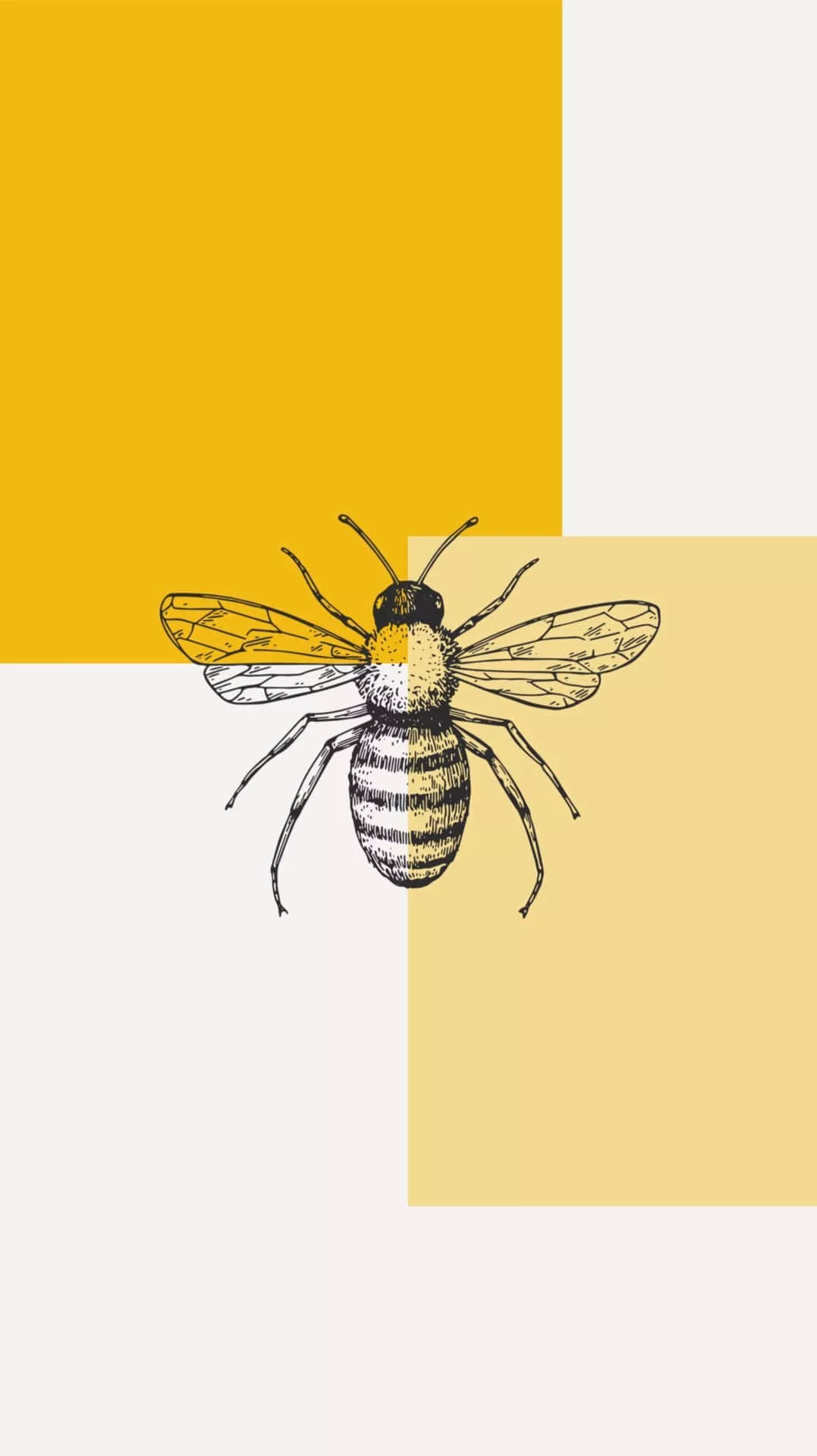 Bee iPhone Wallpaper
