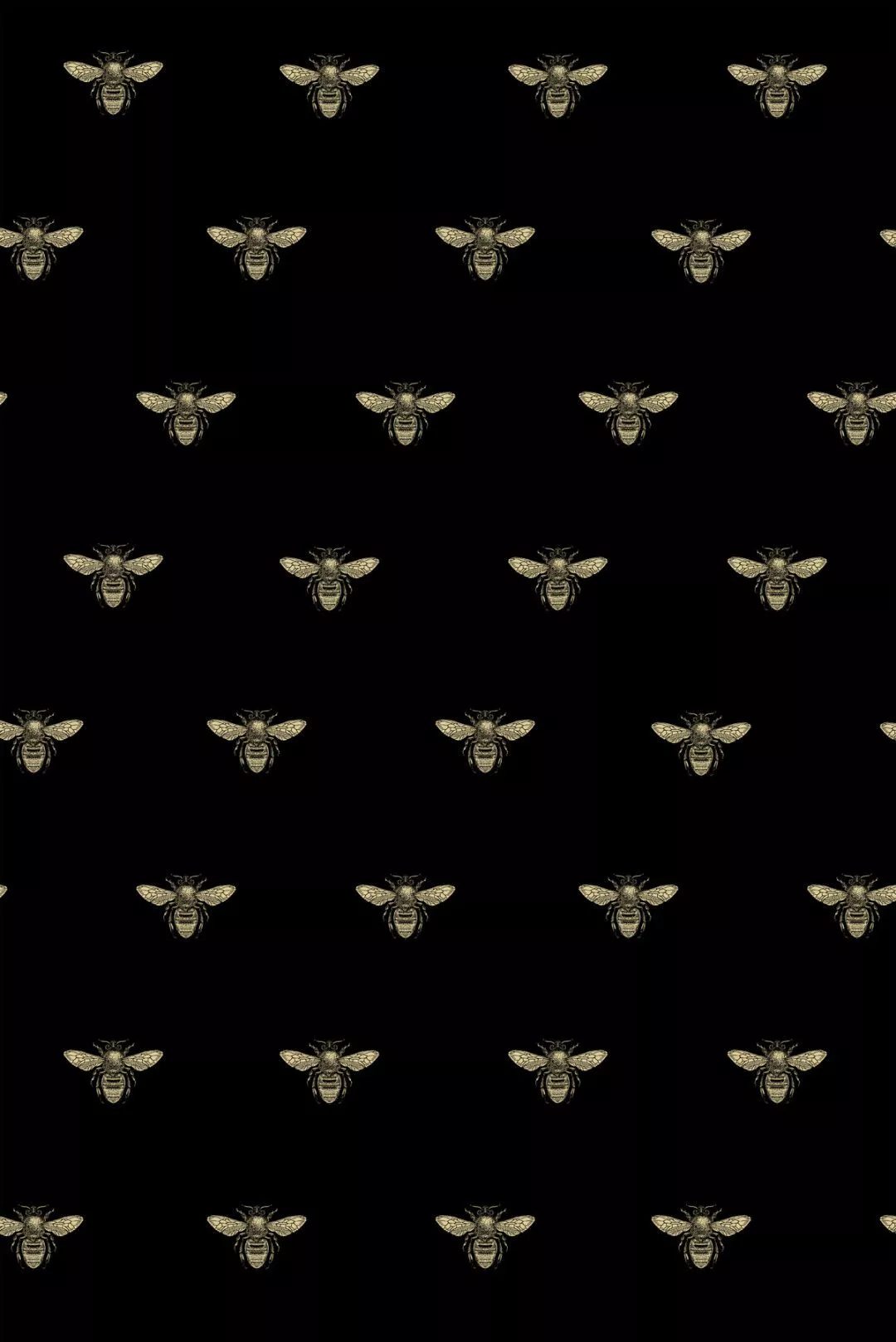 Honey Bee Wallpaper