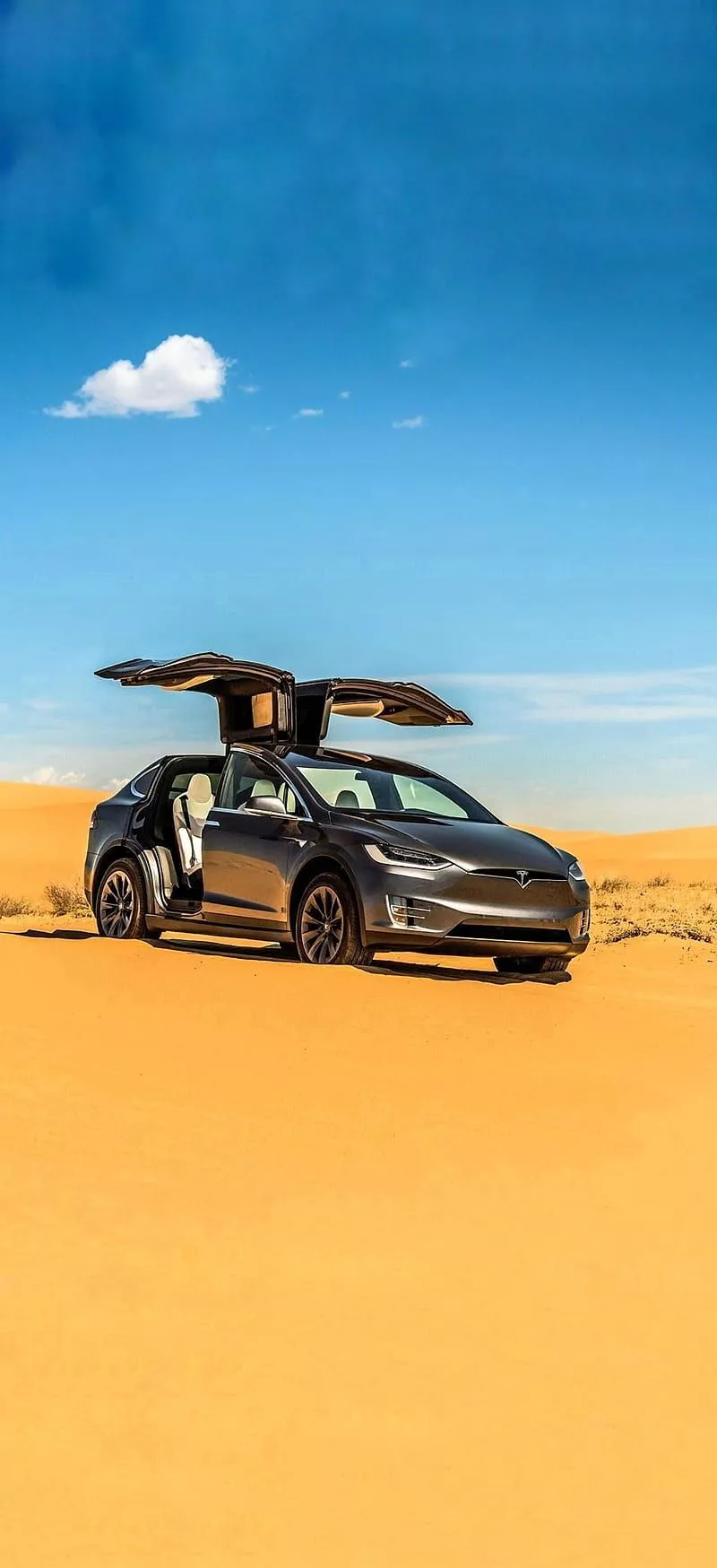 Tesla Model X, car, carros, desert