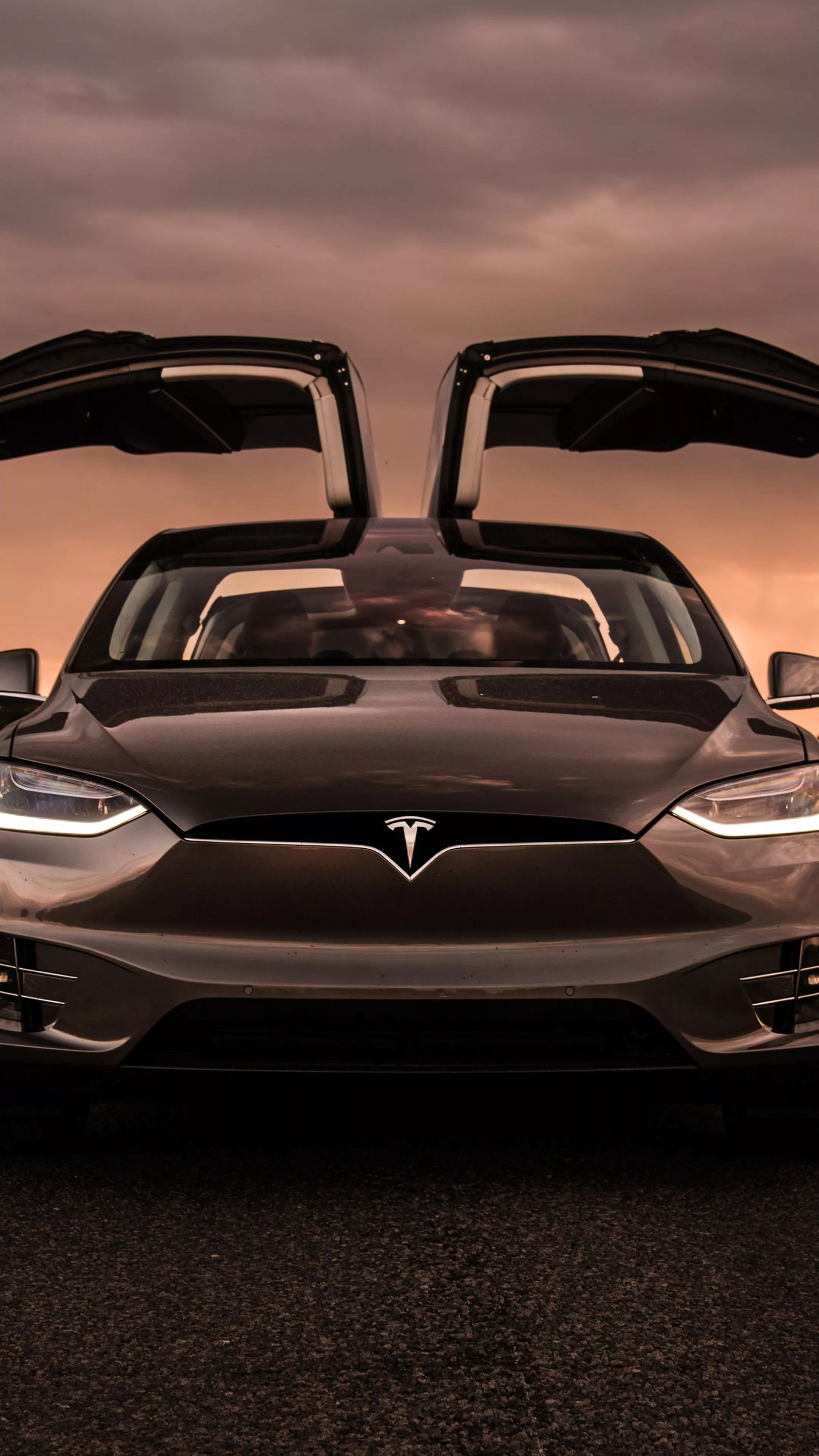 Tesla Model X Wallpaper