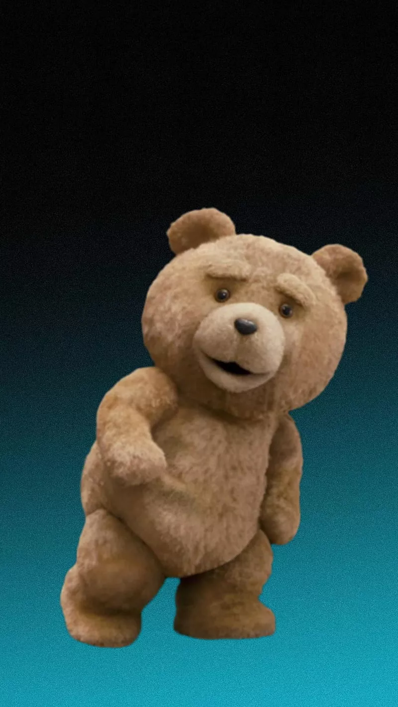 teddy, find, HD phone wallpaper