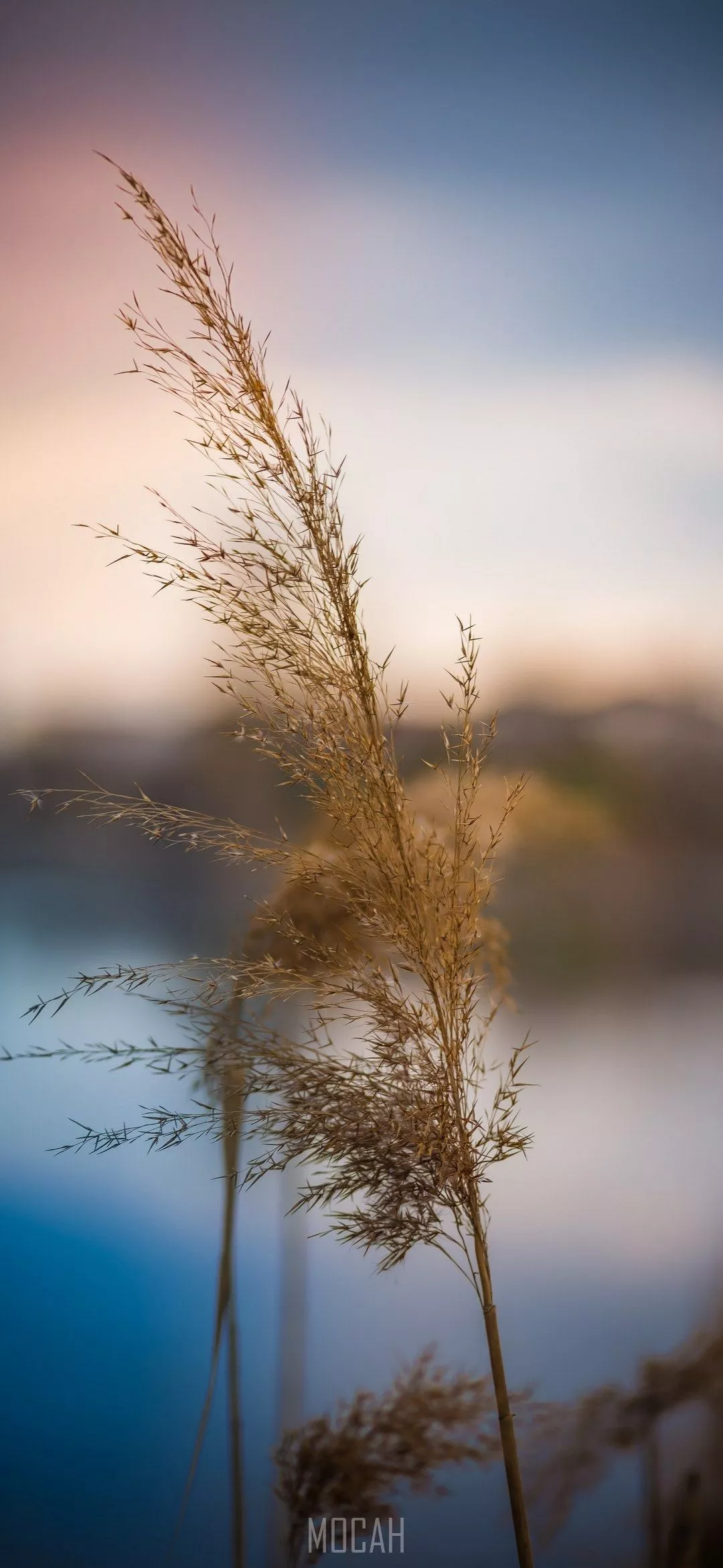 Premier screensaver hd, 1080x2340 HD