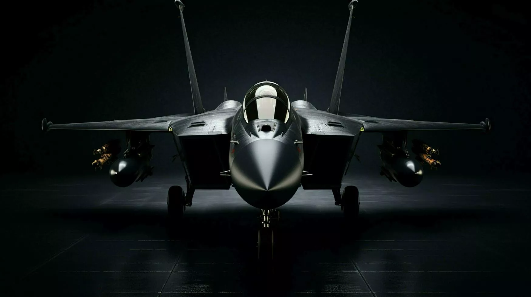 Combat Aircraft Image