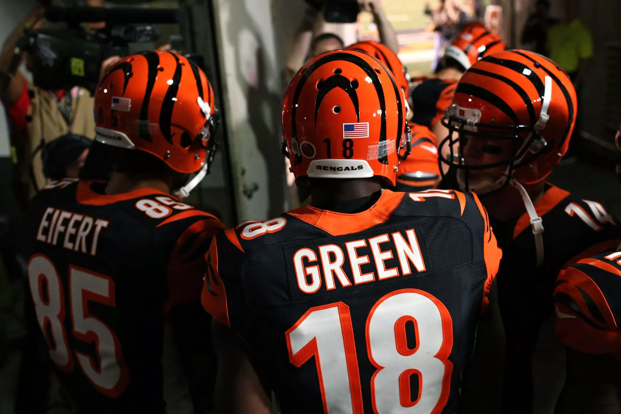 Cincinnati Bengals Sports HD Wallpaper
