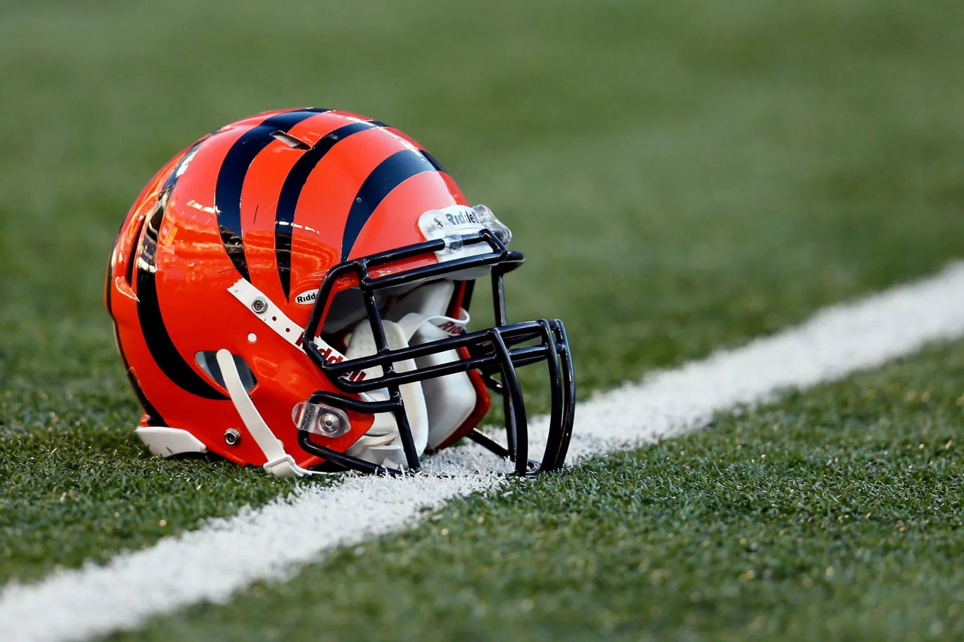 Cincinnati Bengals HD 2022 Wallpaper