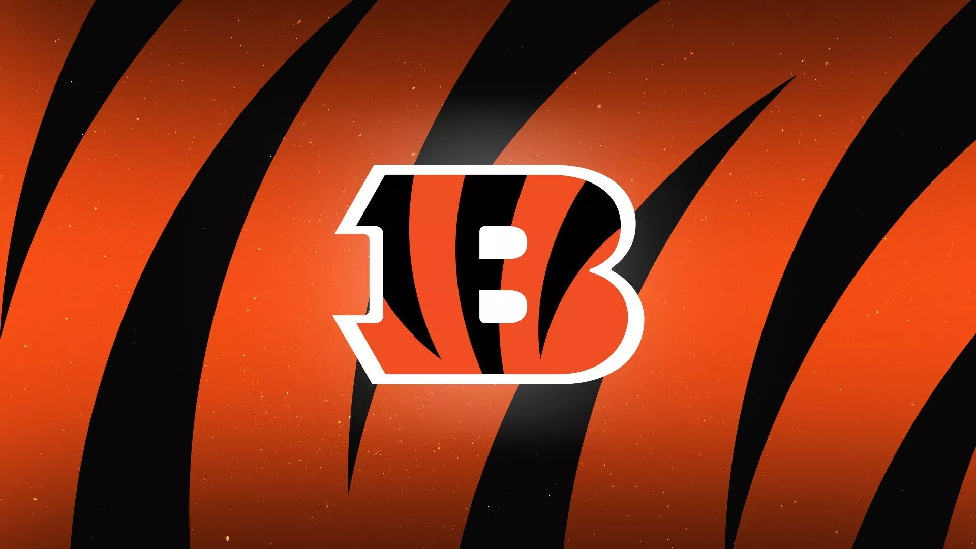 Cincinnati Bengals Sports HD Wallpaper