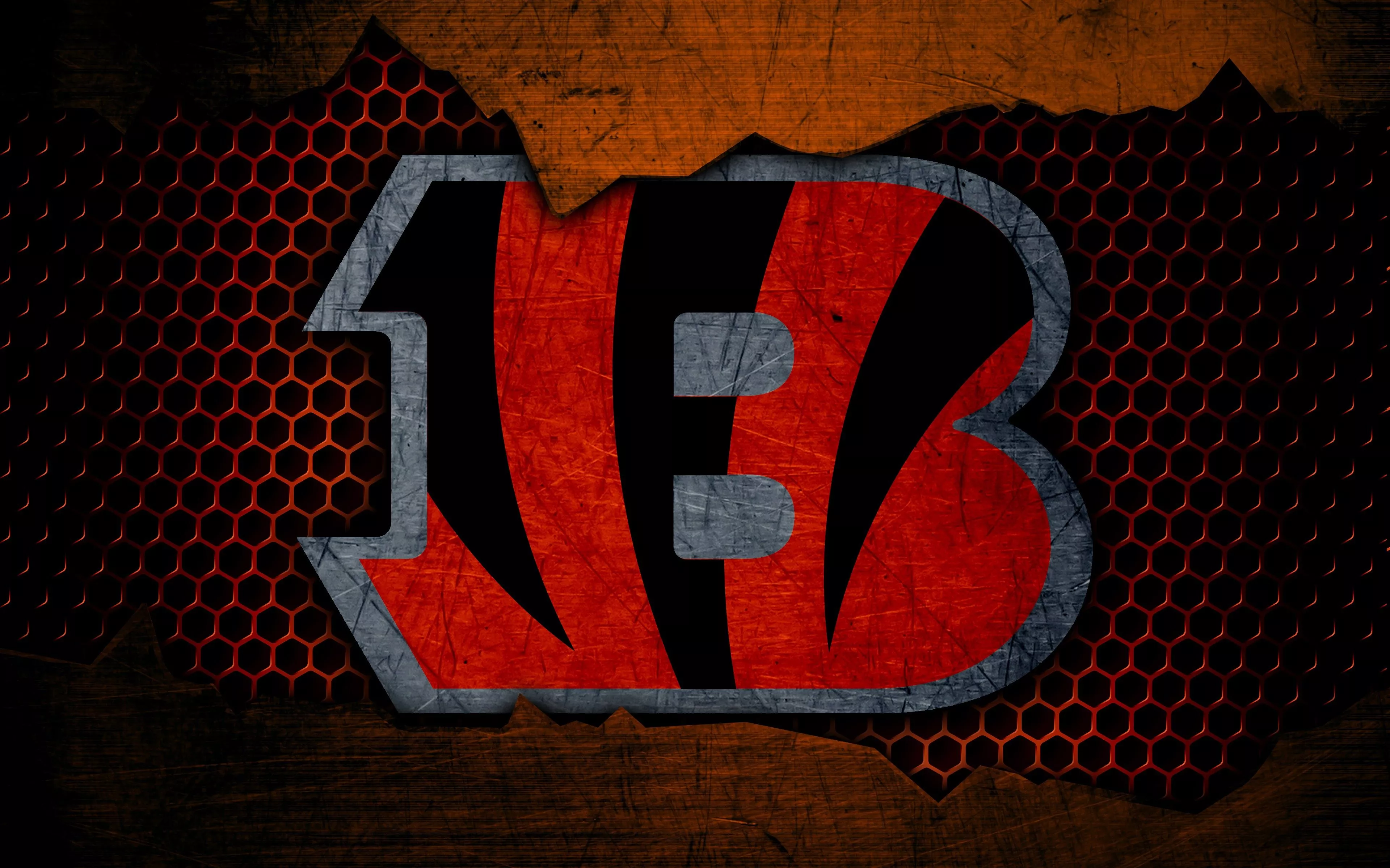 Wallpaper wallpaper, sport, logo, NFL