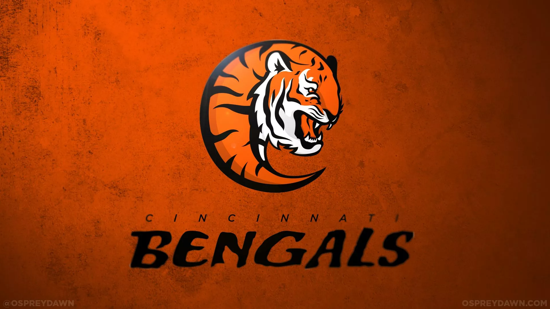 Cincinnati Bengals Sports HD Wallpaper