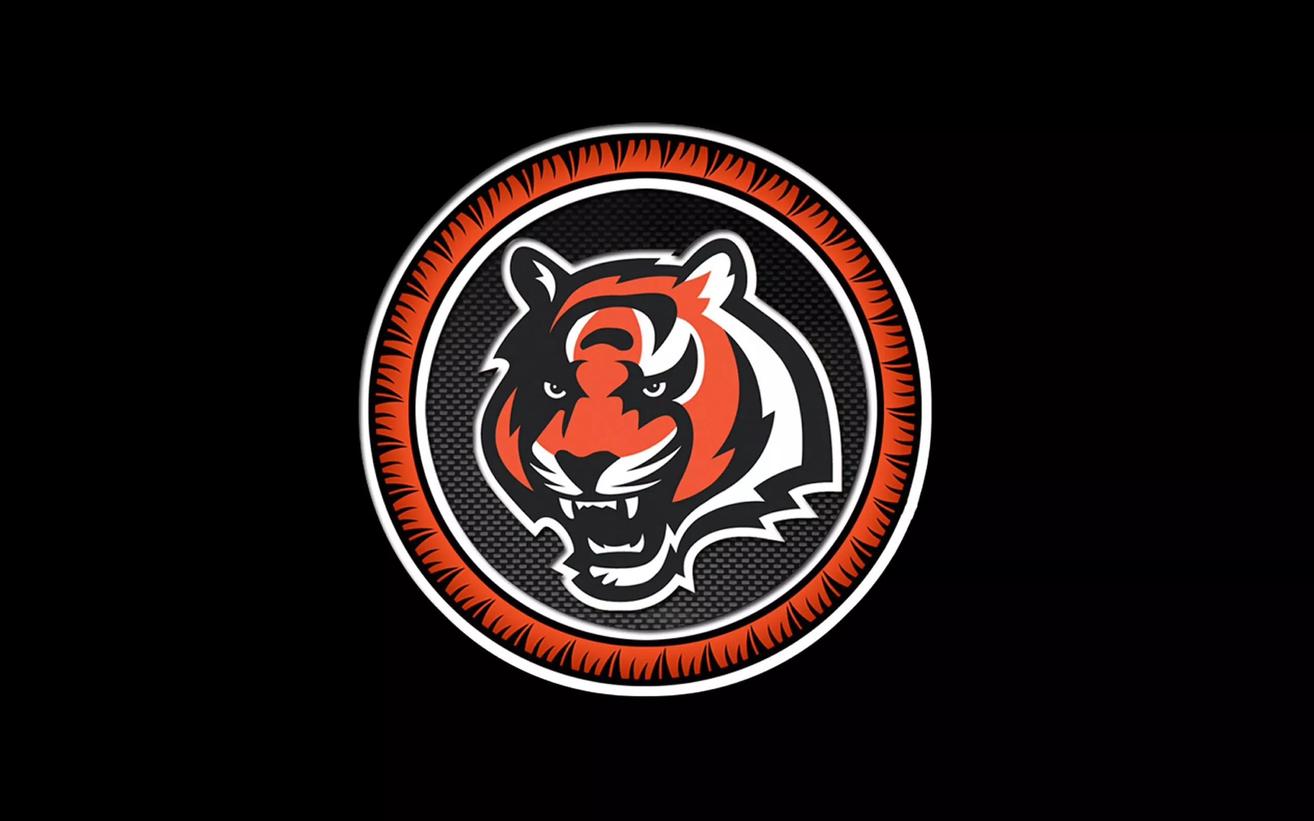 Cincinnati Bengals circle 2560×1600