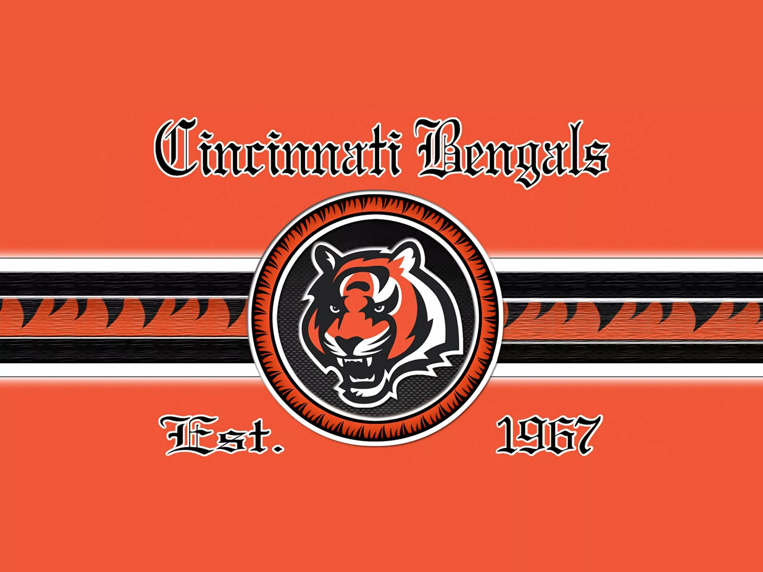 cincinnati bengals full orange 2560