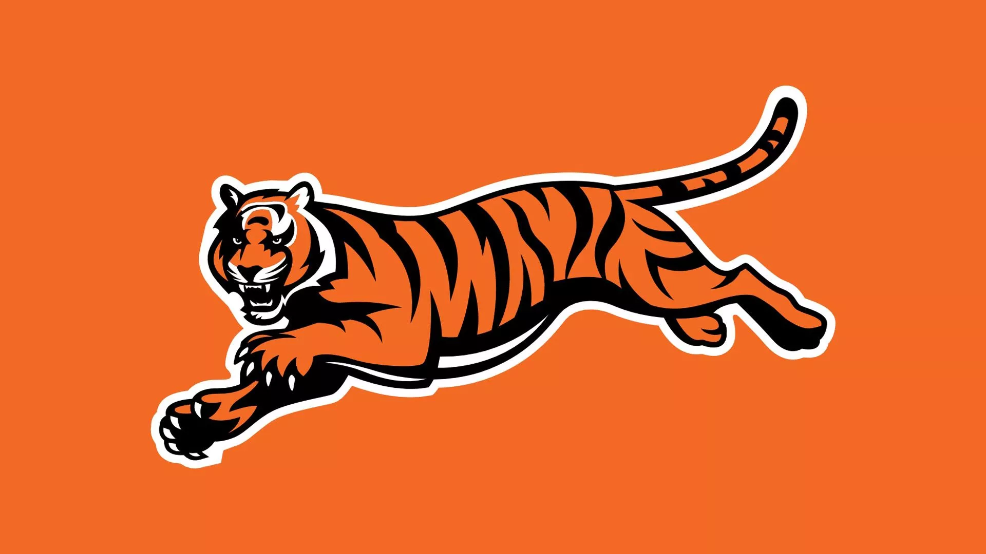 cincinnati_Bengals full 1920×1080