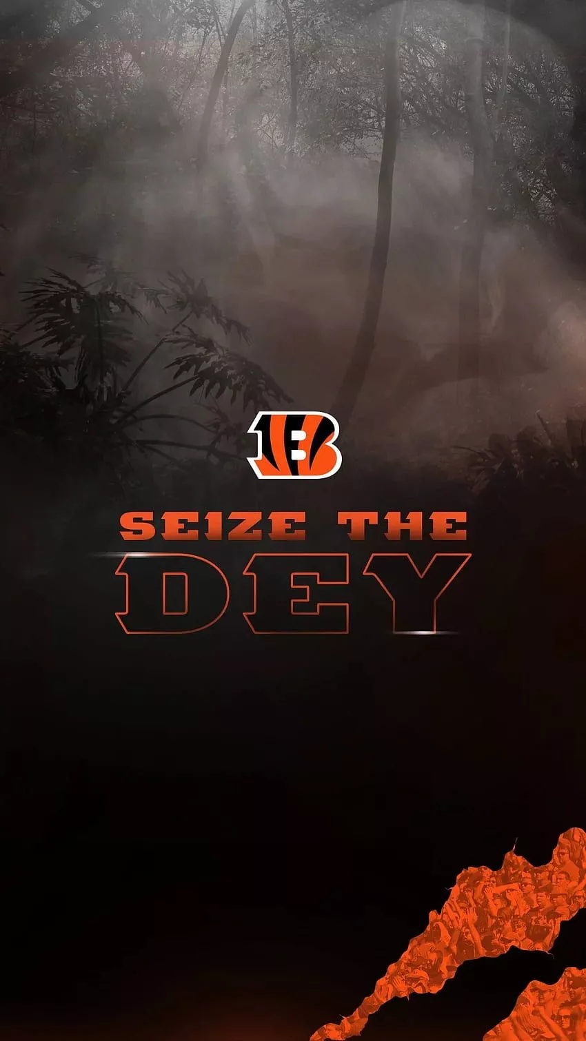 Cincinnati Bengals Fans. 2018 HD phone