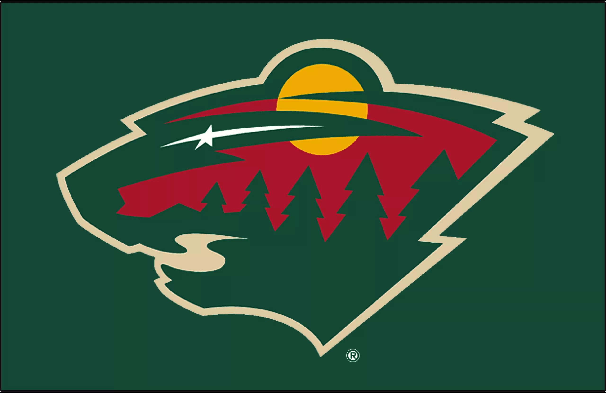 Download Minnesota Wild Sports HD Wallpaper