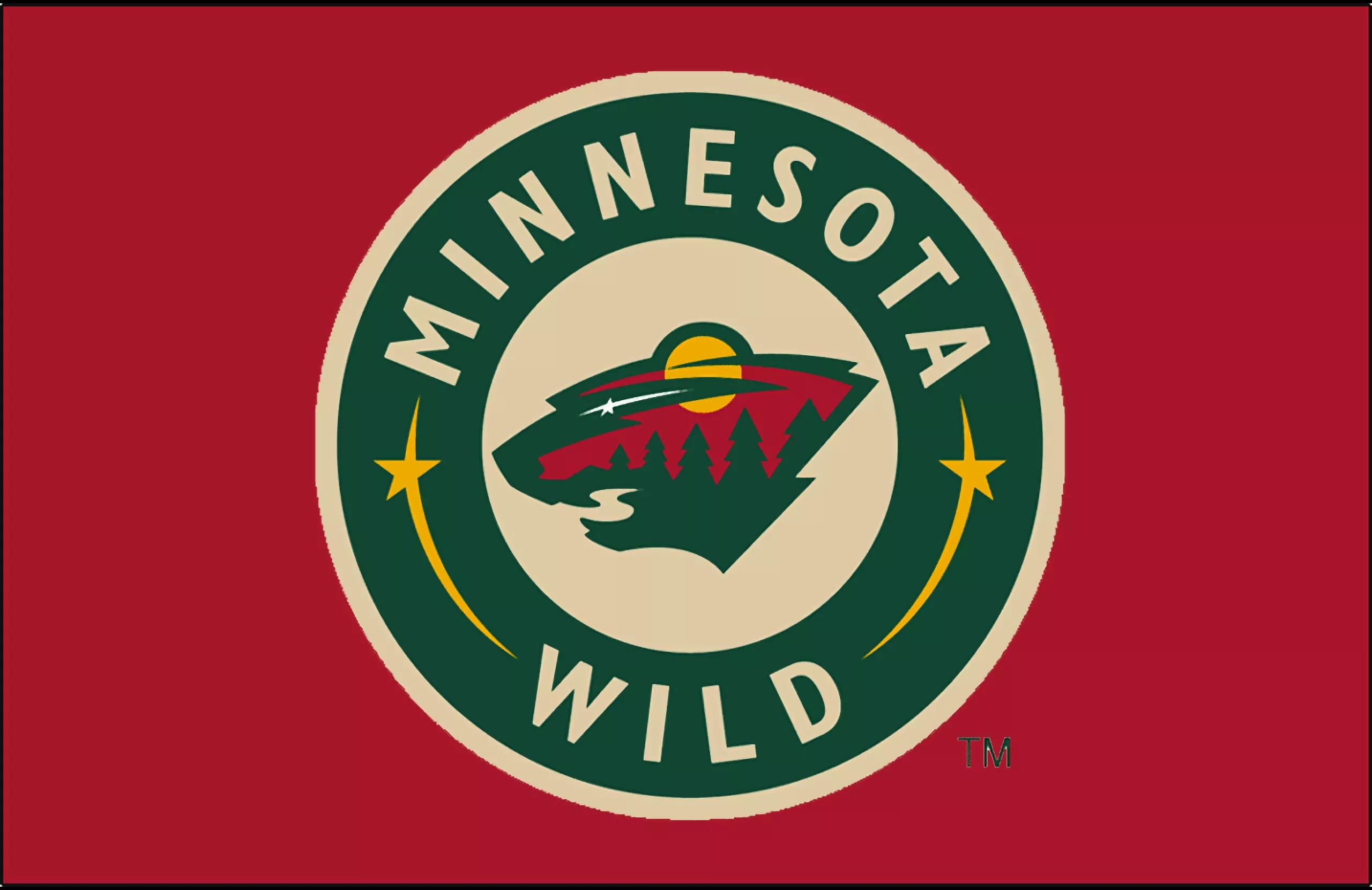 Download Minnesota Wild Sports HD Wallpaper